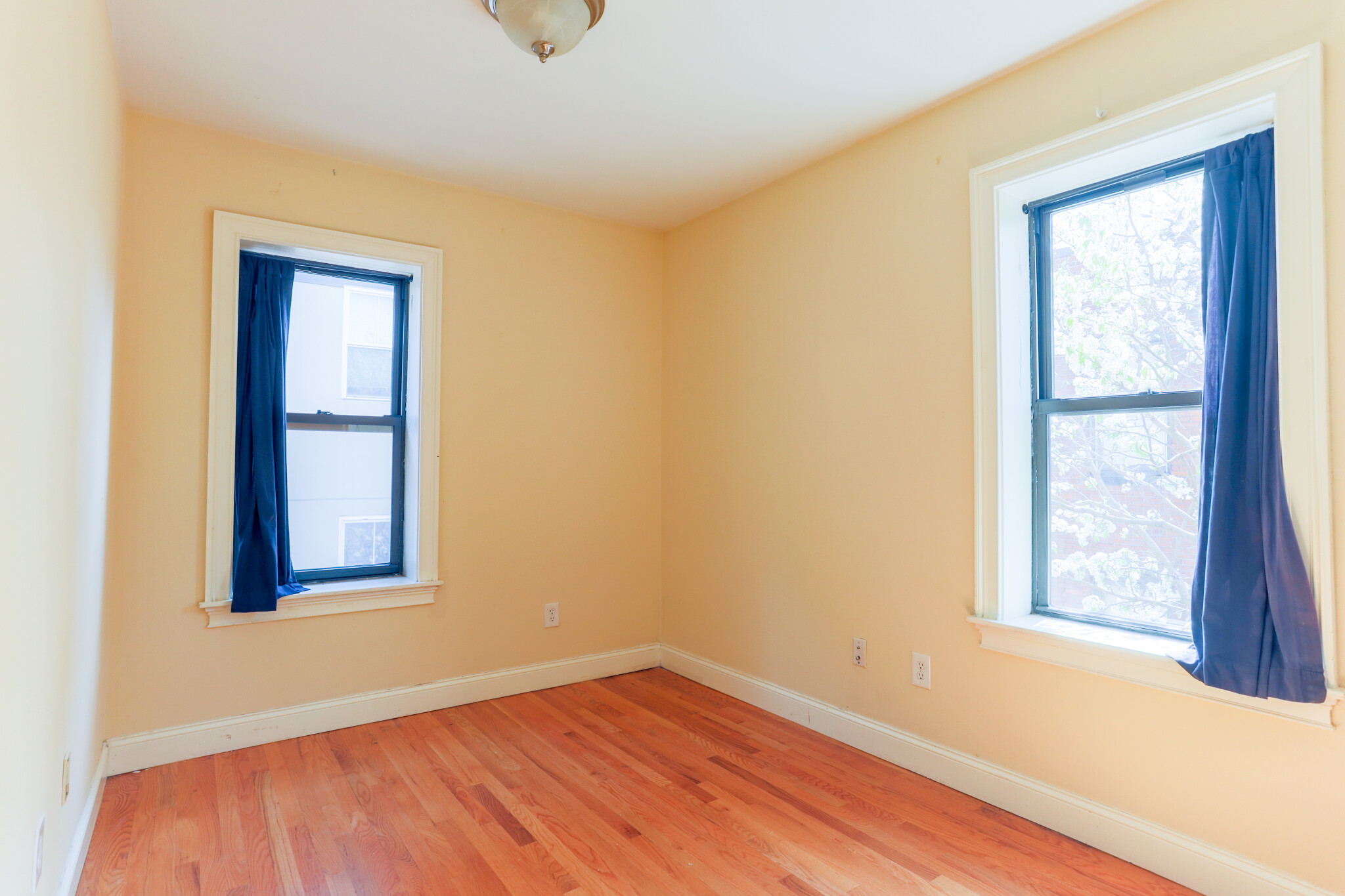 31 Cunard St, South End