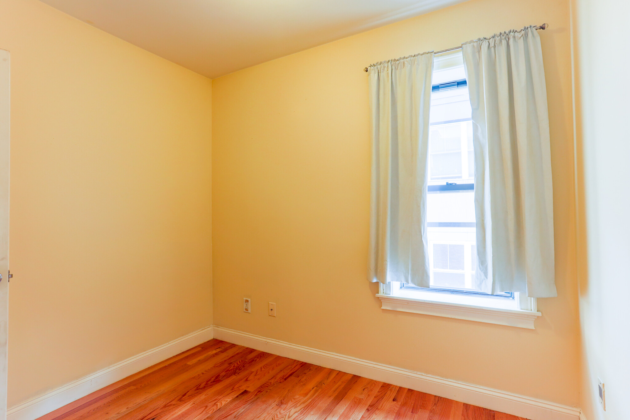 31 Cunard St, South End