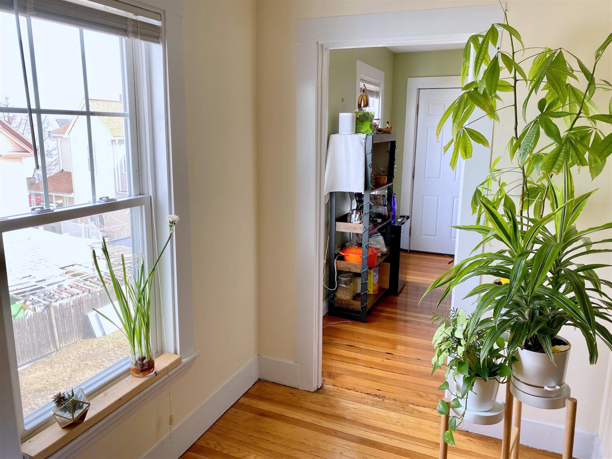 14 Rockland Pl, Malden