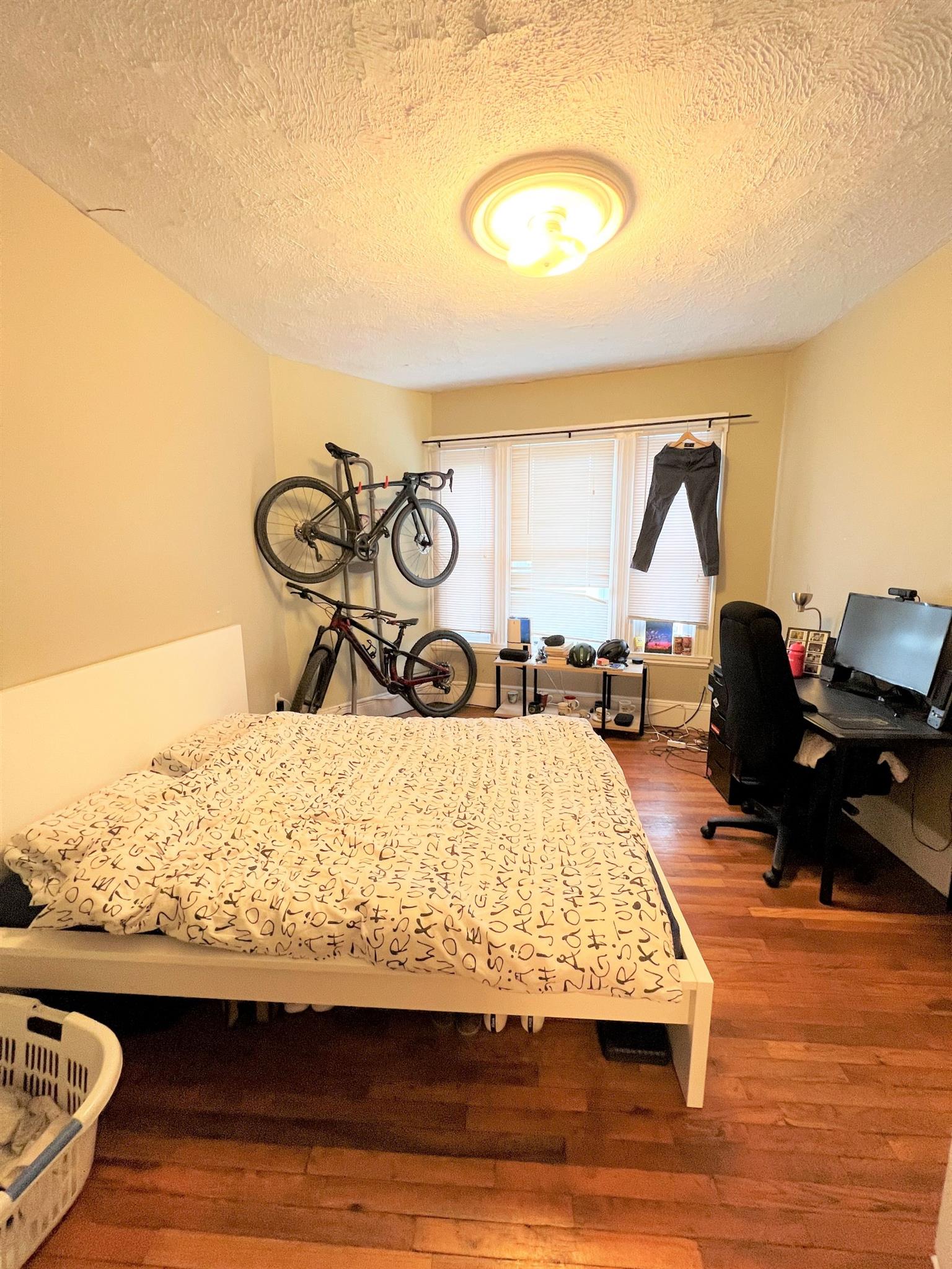 59 Cedar St, Spring Hill