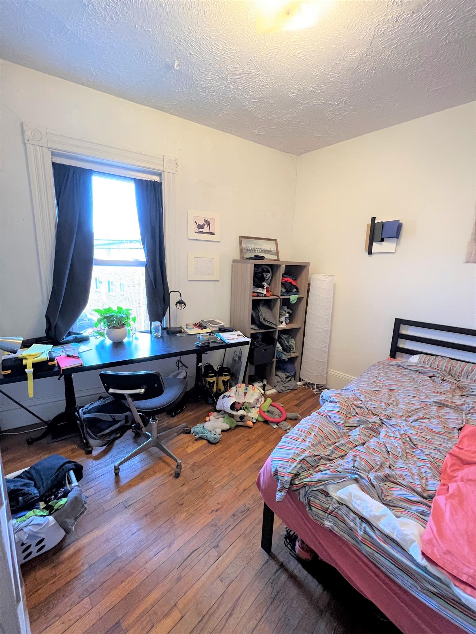 59 Cedar St, Spring Hill