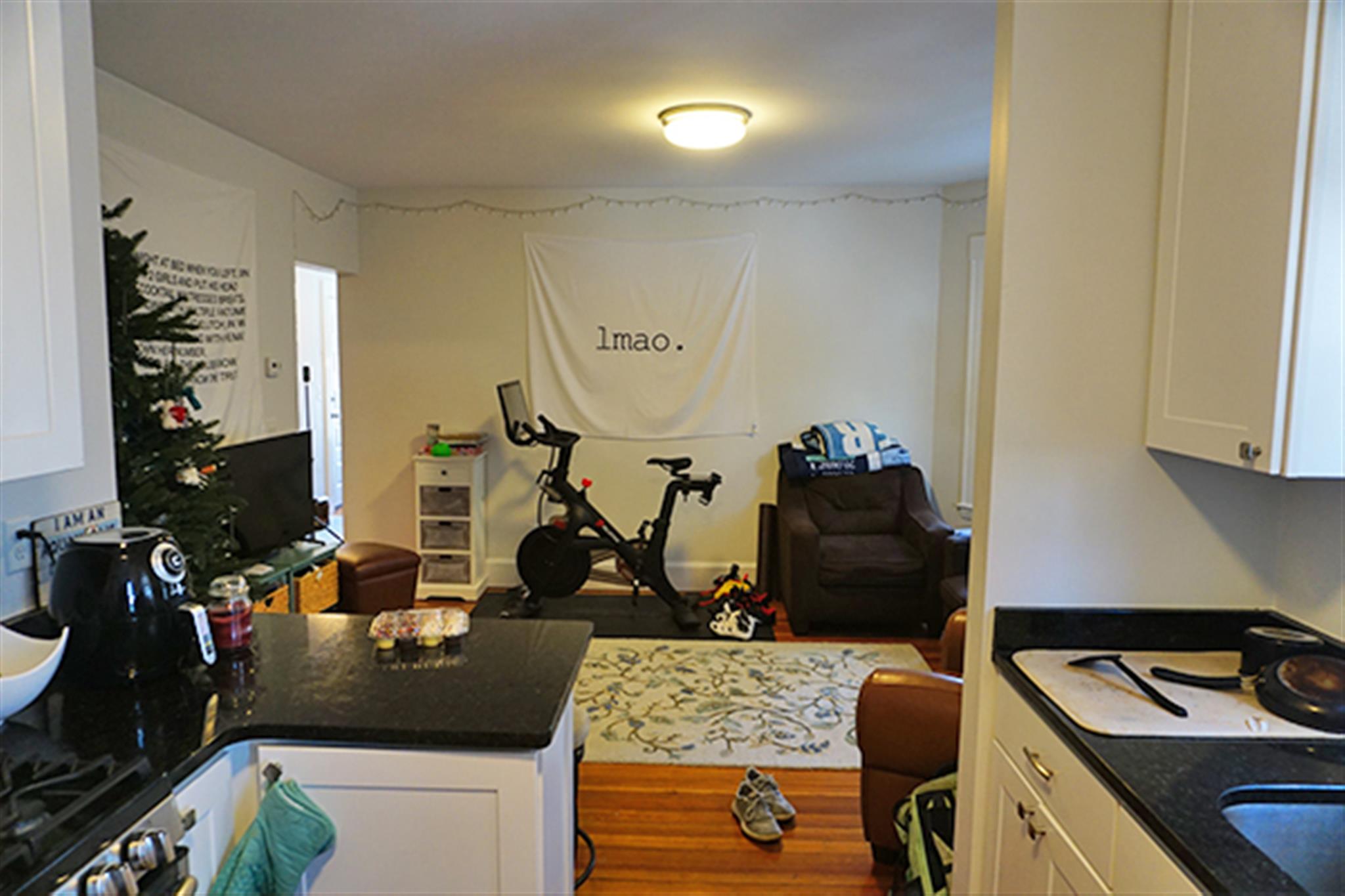 17 Ashland St, Spring Hill