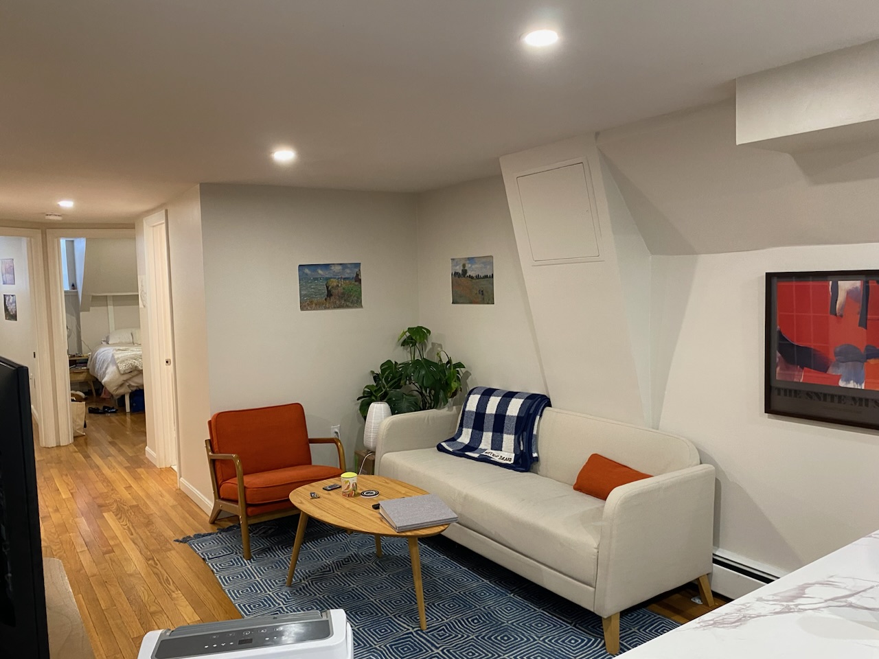 13 Anderson St, Beacon Hill