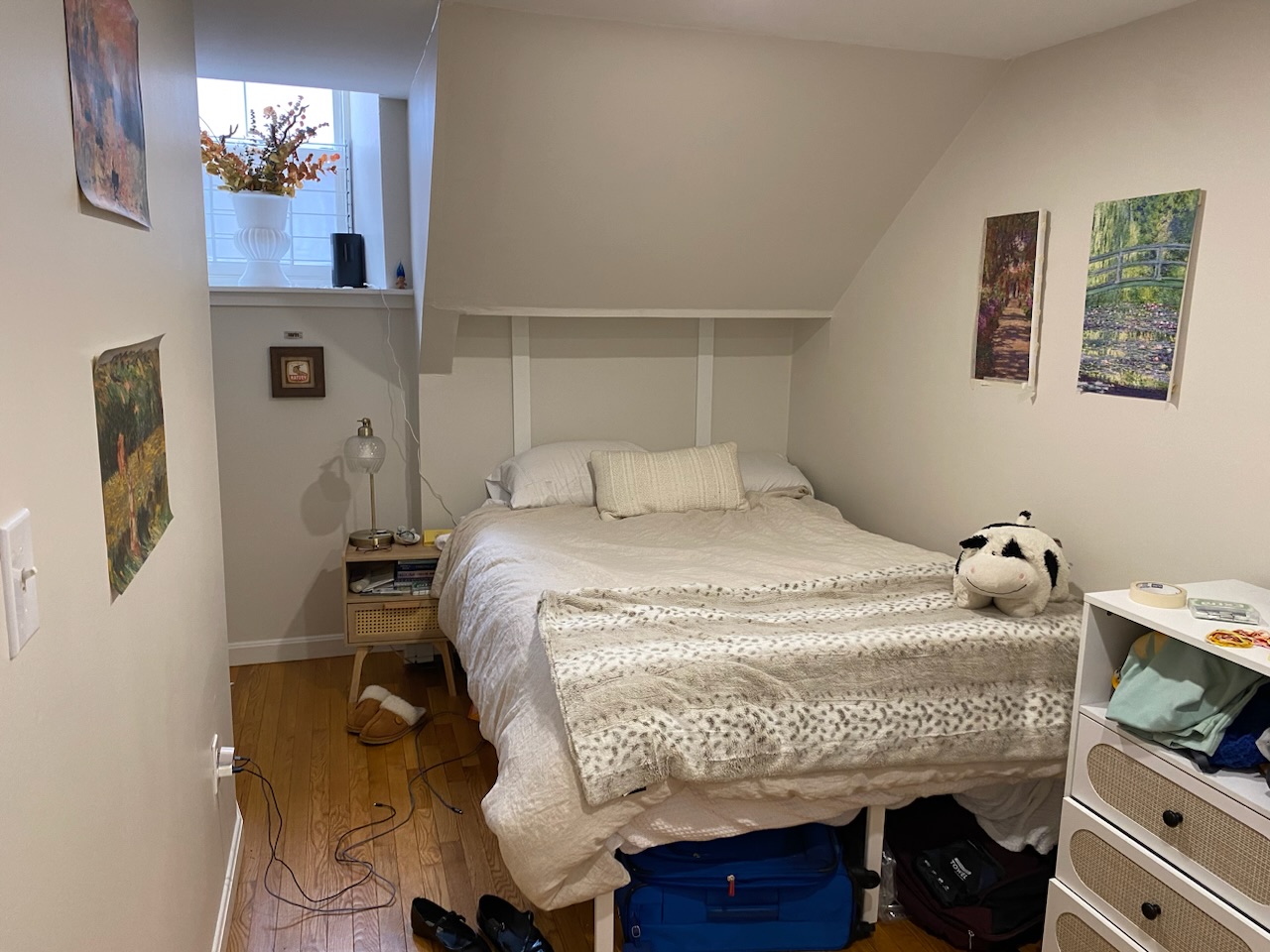 13 Anderson St, Beacon Hill