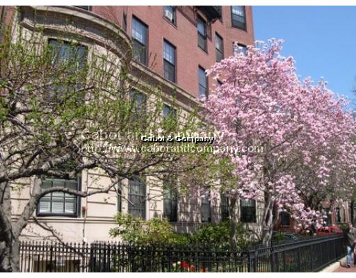 343 Commonwealth Ave, Back Bay