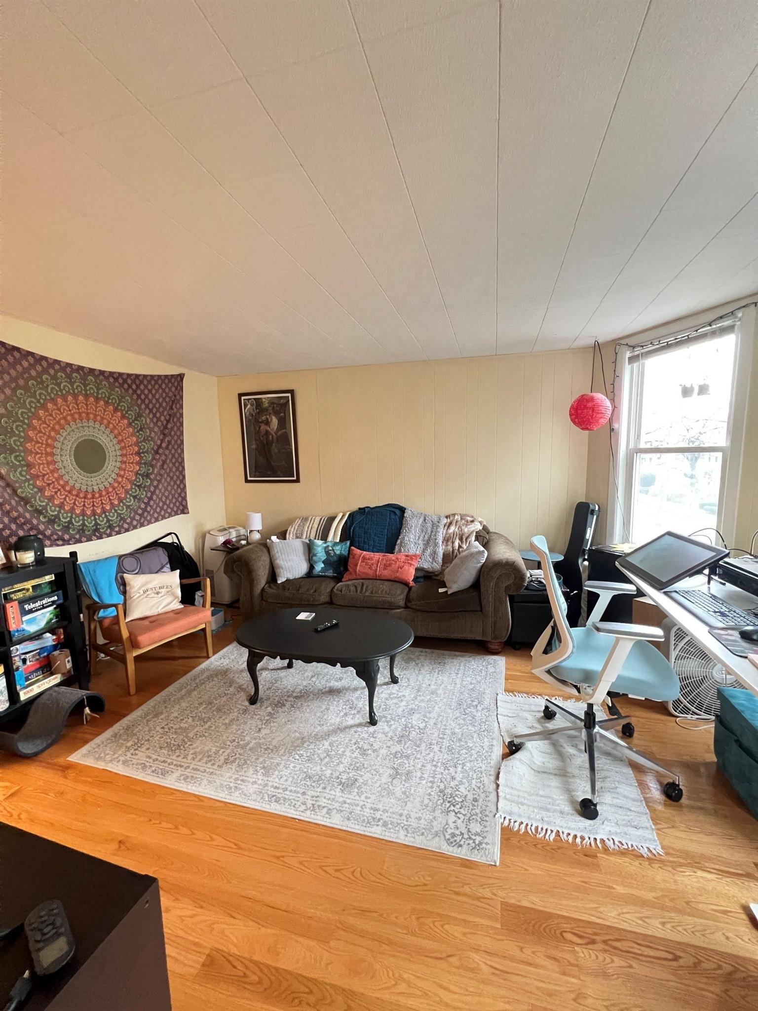 29 Cameron Ave, Davis Square