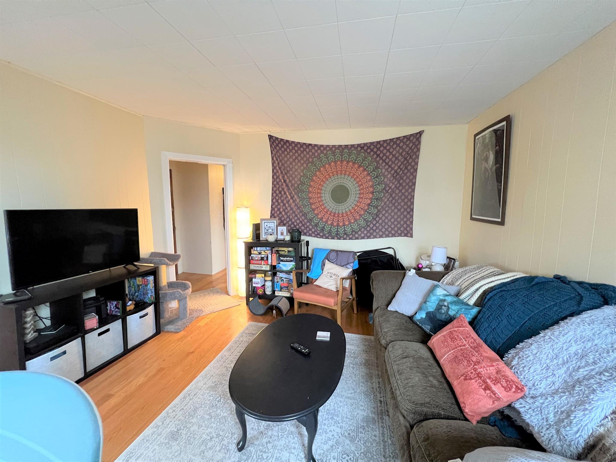 29 Cameron Ave, Davis Square