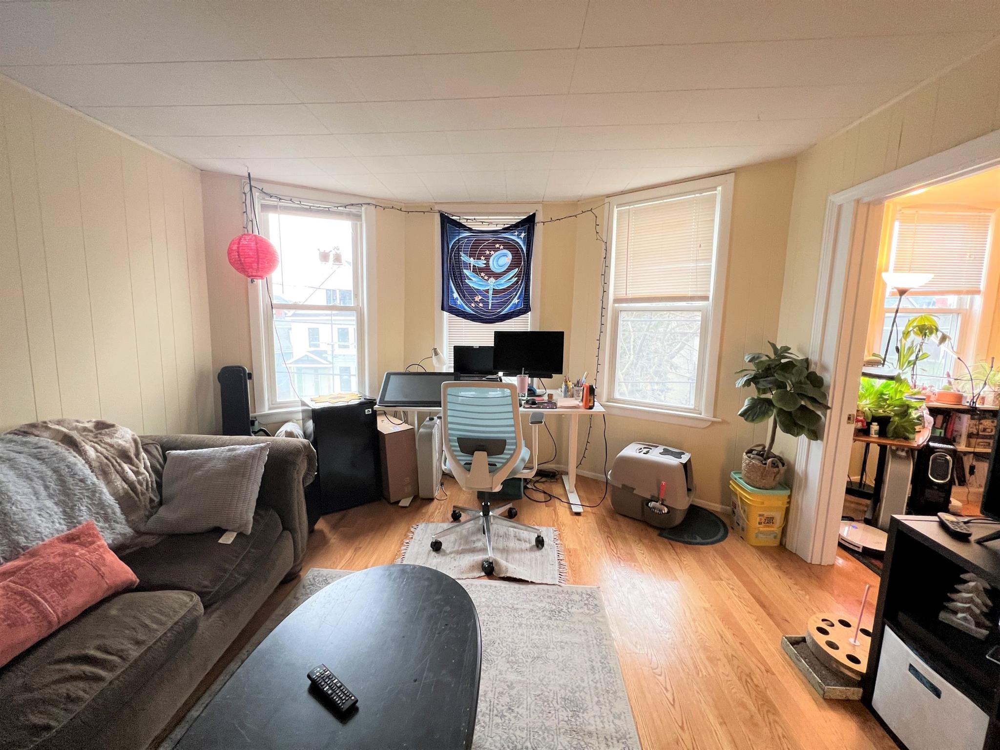 29 Cameron Ave, Davis Square