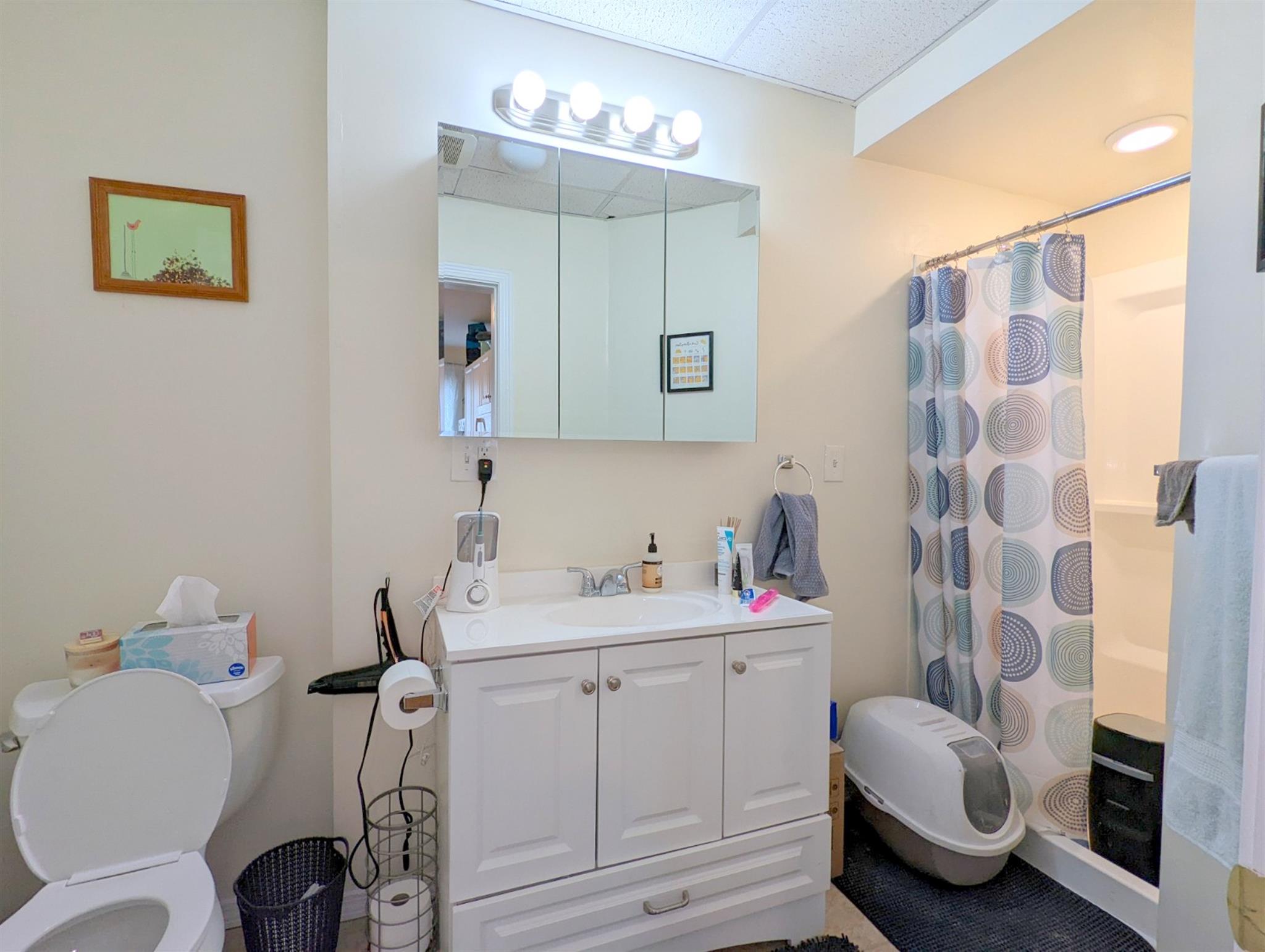 23 Thorndike St, Davis Square