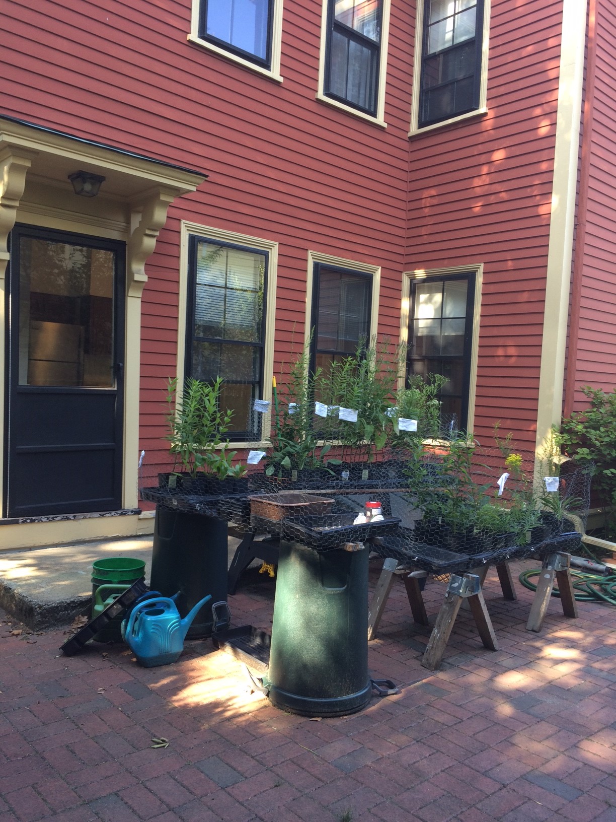 29 Mount Pleasant St, Porter Square