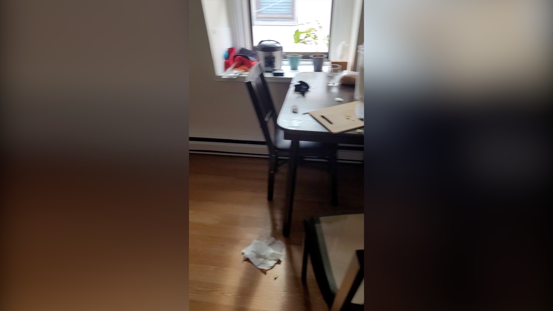 12 Lincoln St, Newton