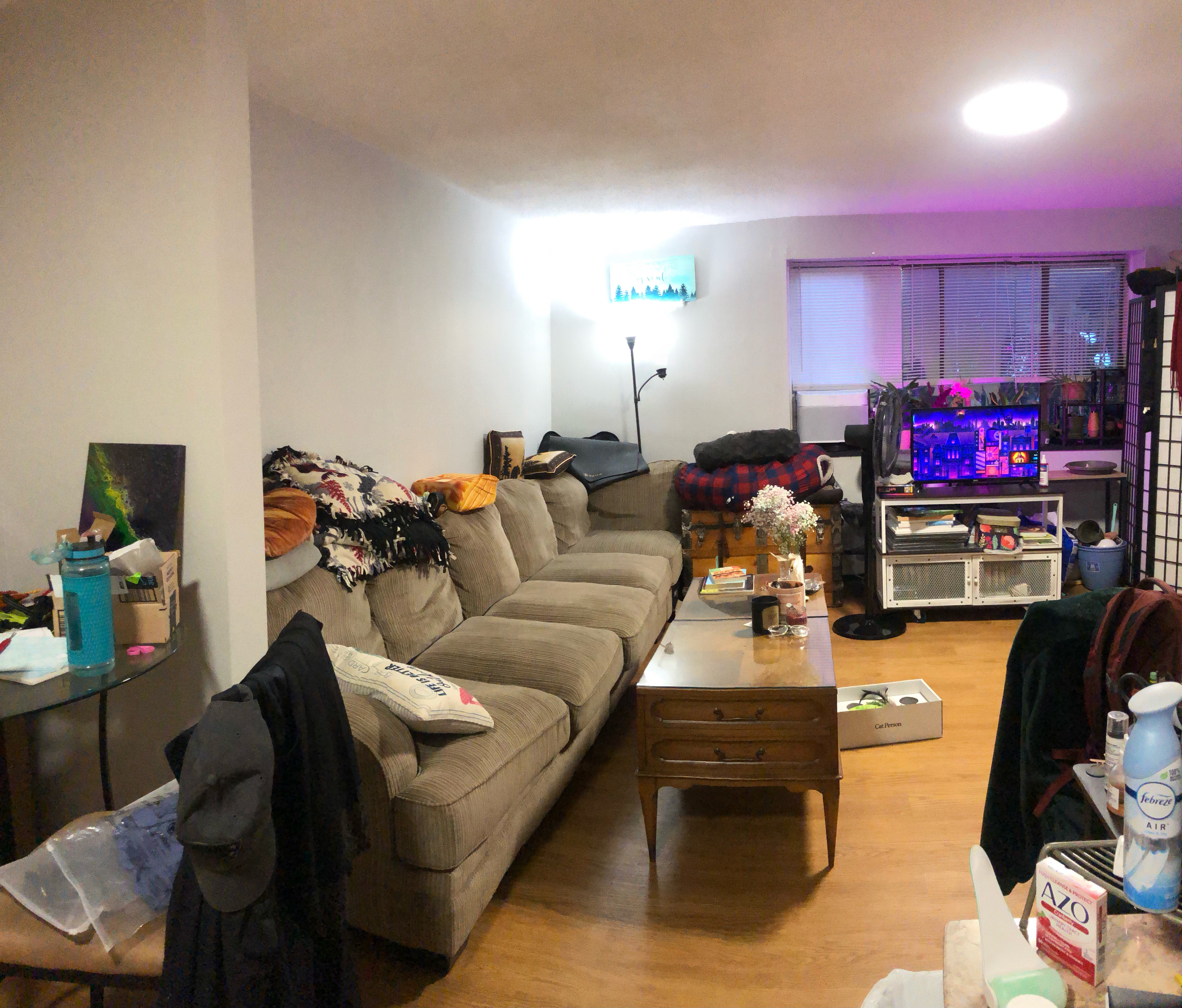 222 Babcock St, Coolidge Corner