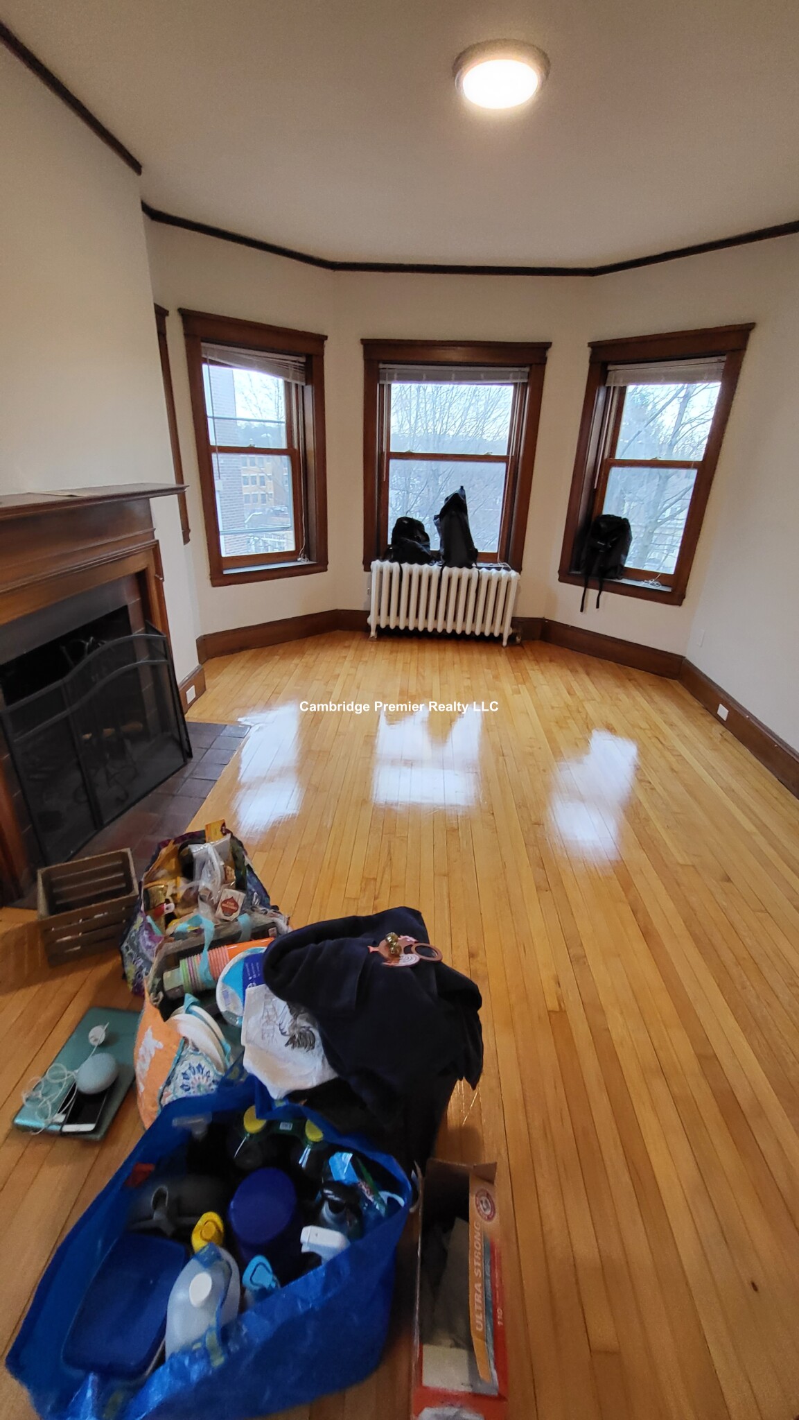 3 Linnaean St, Harvard Square