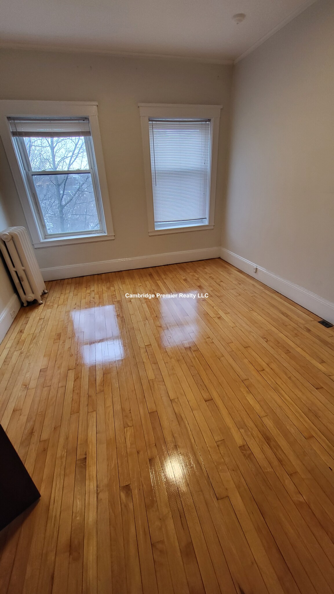 3 Linnaean St, Harvard Square