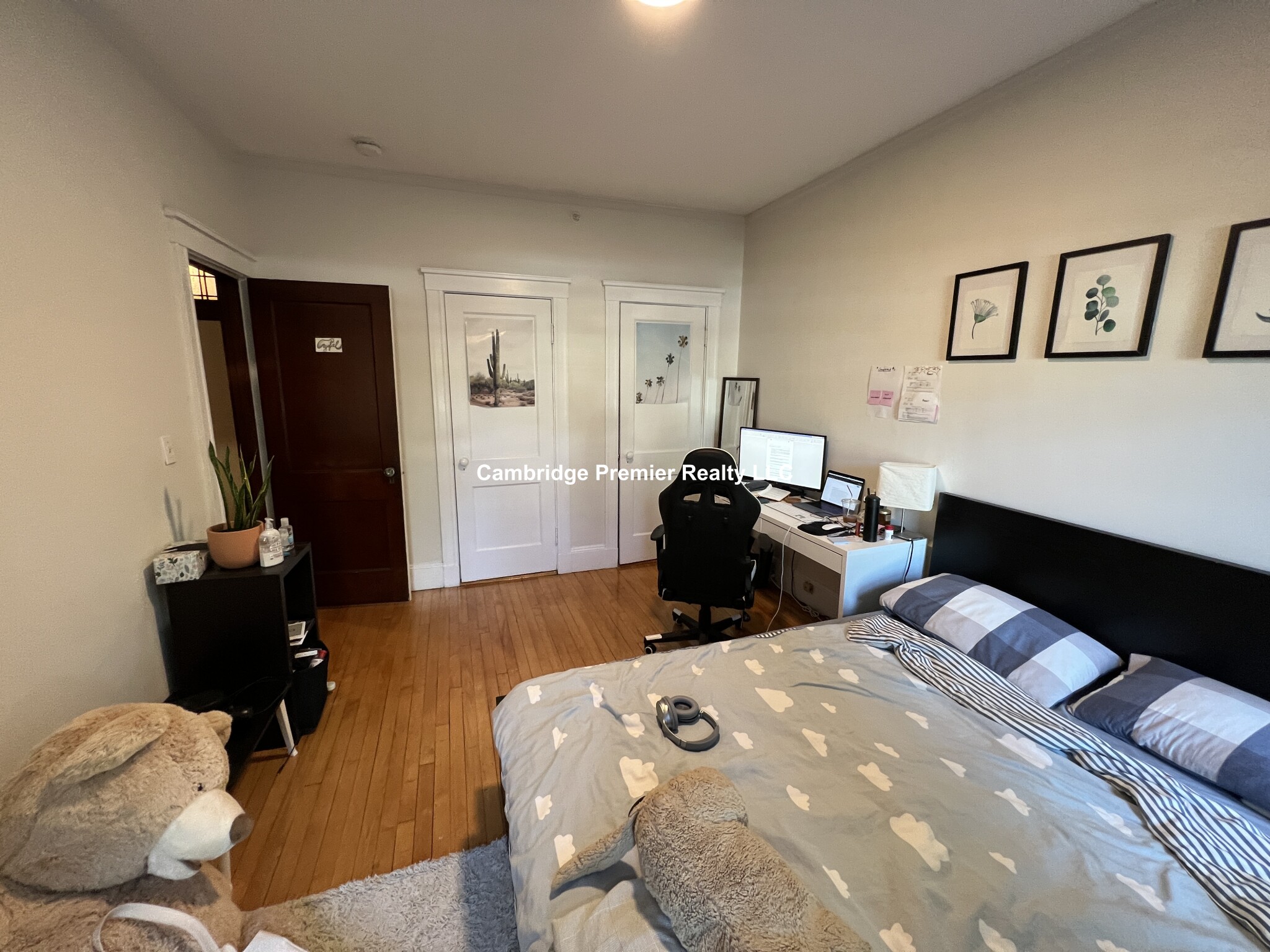 3 Linnaean St, Neighborhood Nine