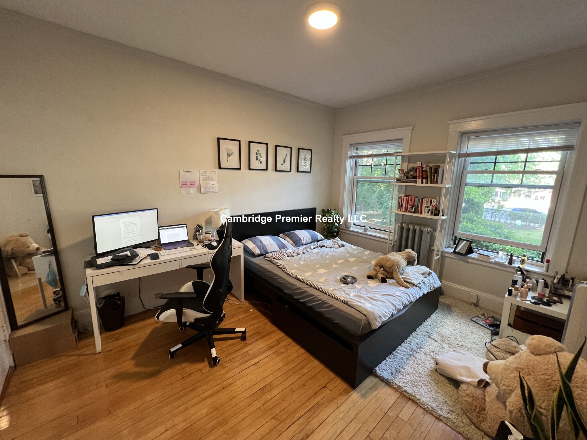 3 Linnaean St, Neighborhood Nine