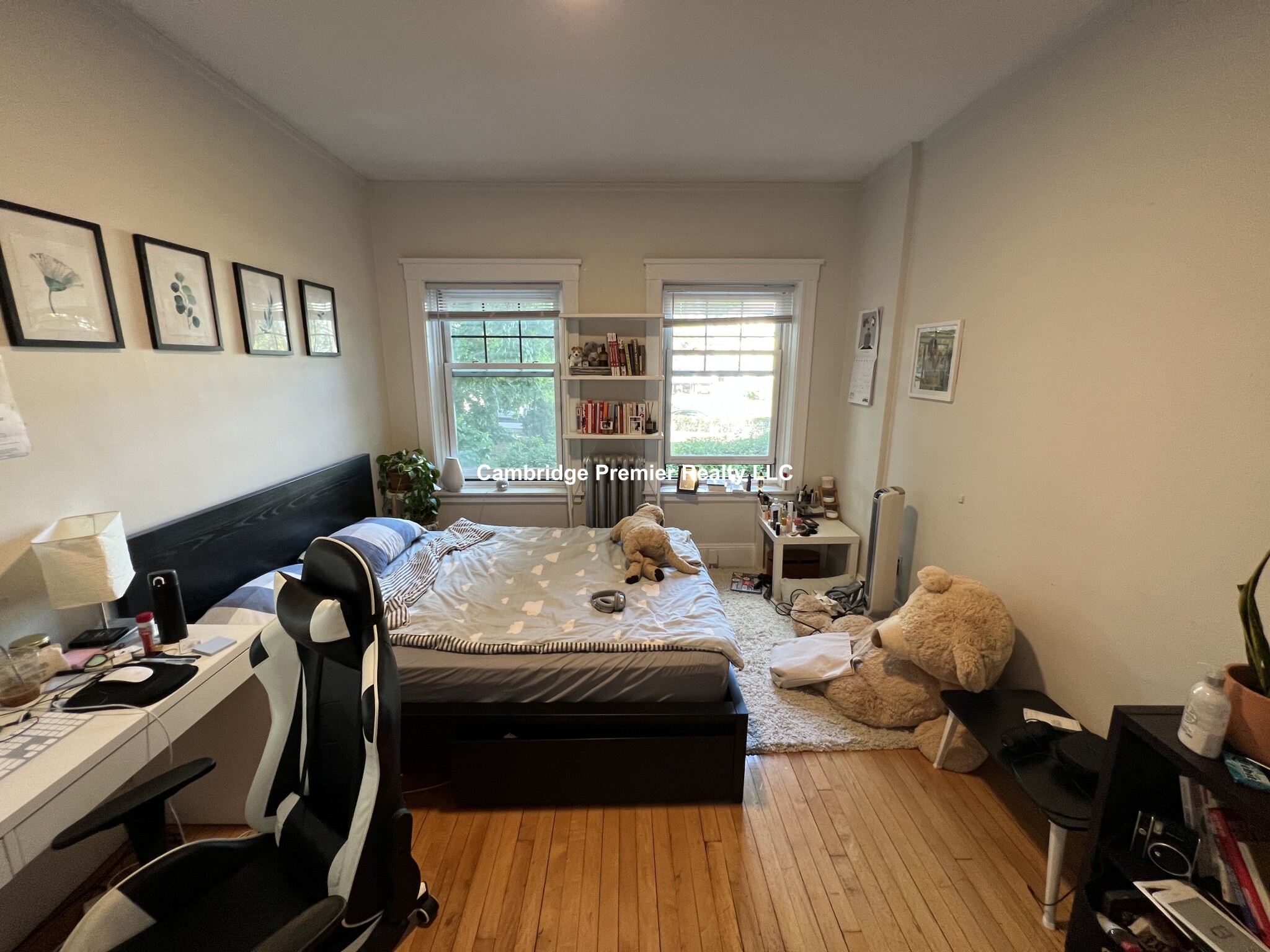 3 Linnaean St, Neighborhood Nine