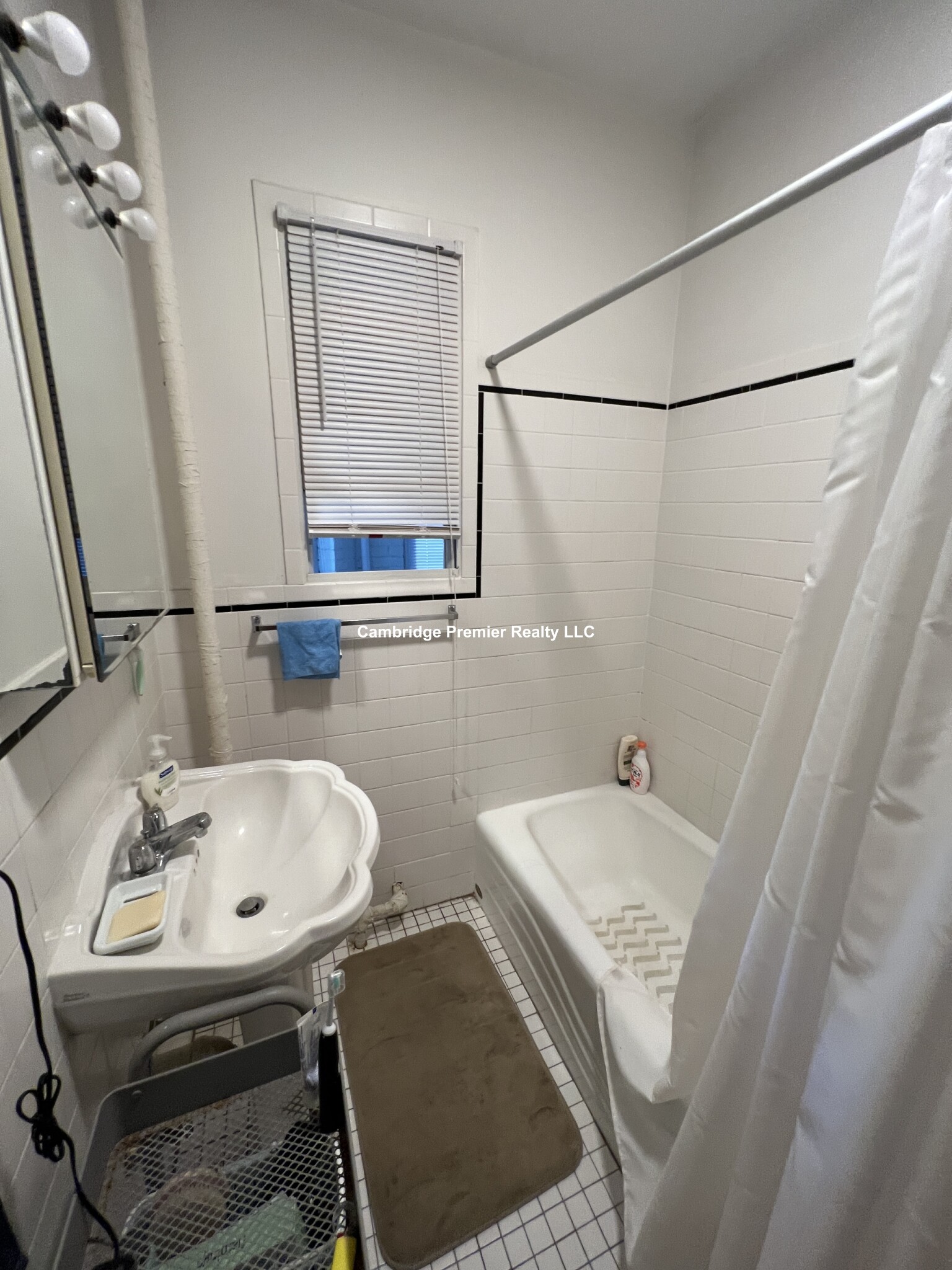 3 Linnaean St, Neighborhood Nine