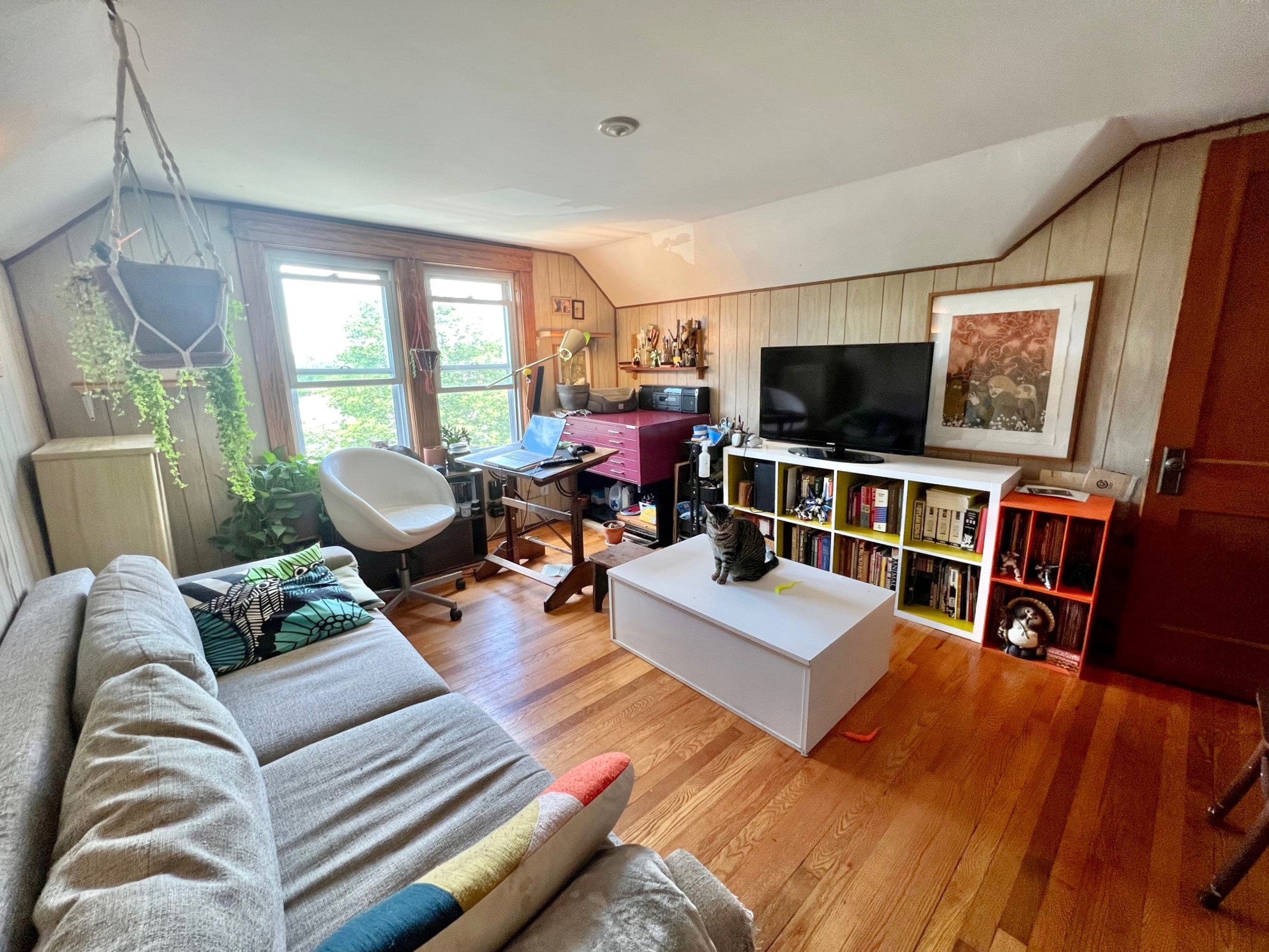 40 Alfred Rd, Arlington