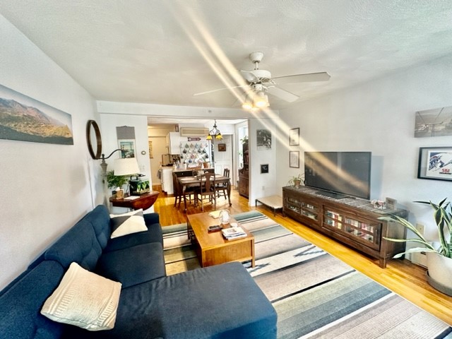 10 Harris St, North End