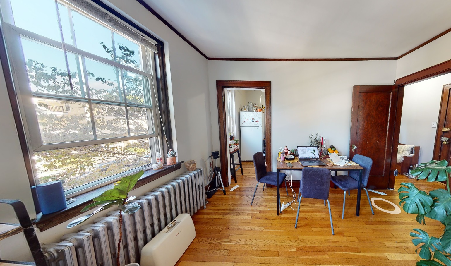 119 College Ave, Davis Square