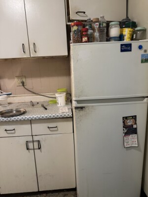 3 Ridgemont St, Allston