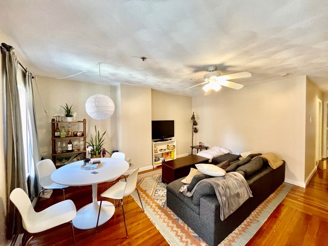 10 Hull St, North End