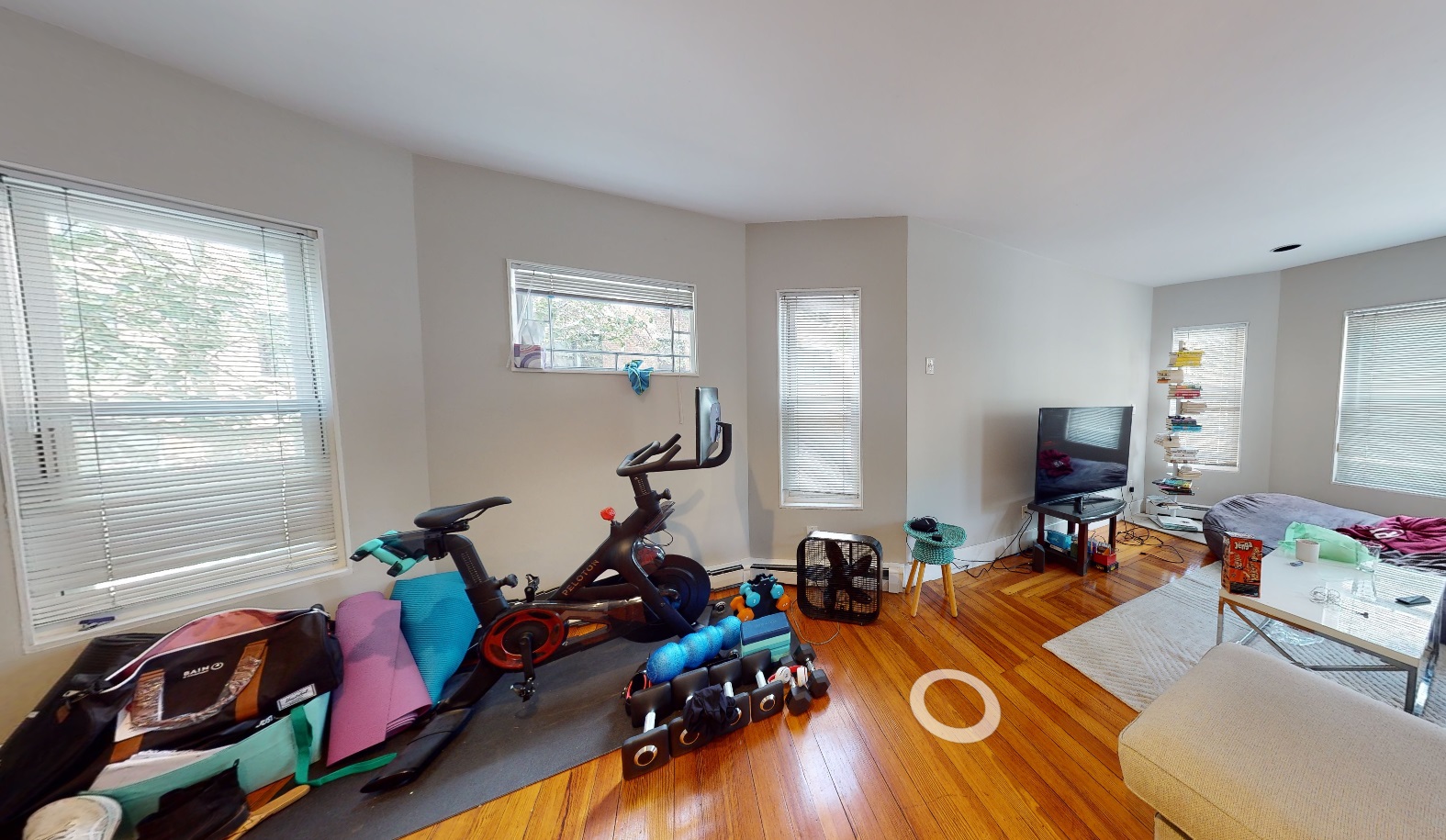 8 Chapman Pl, Harvard Square