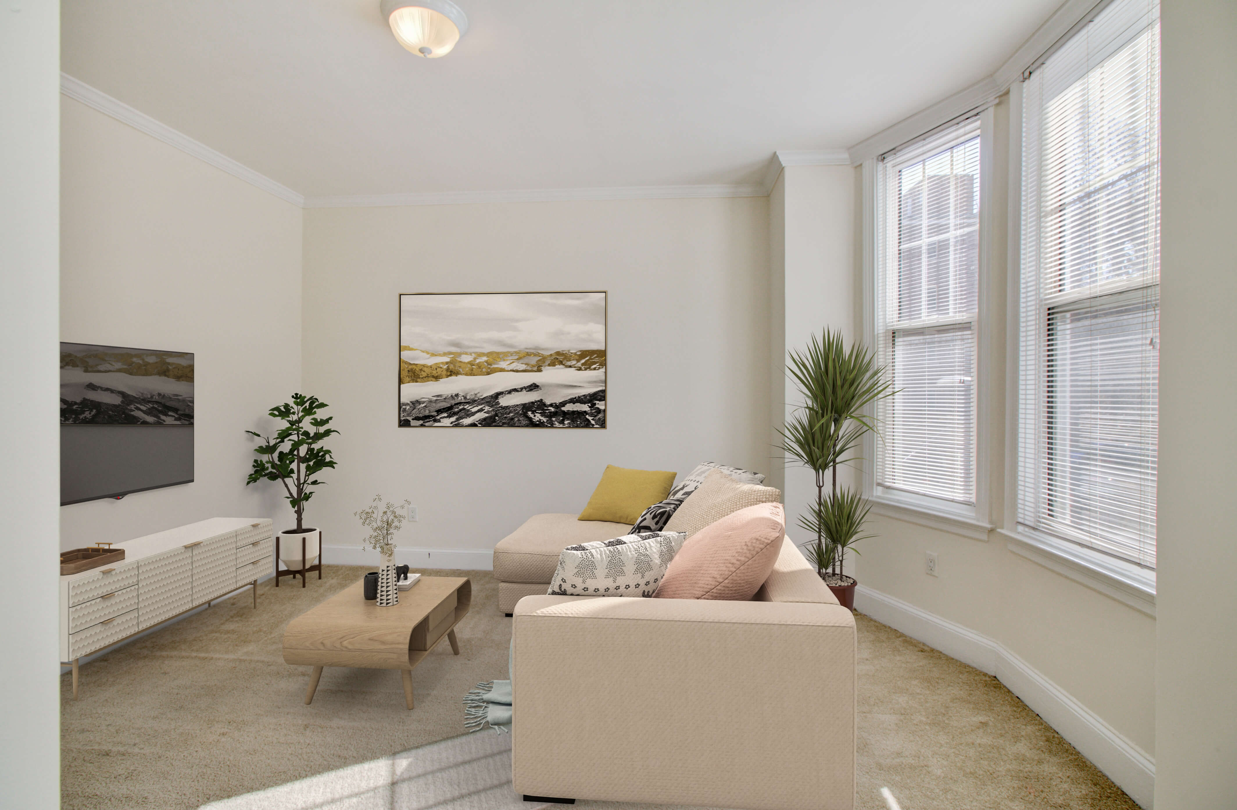 1223 Beacon St, Coolidge Corner