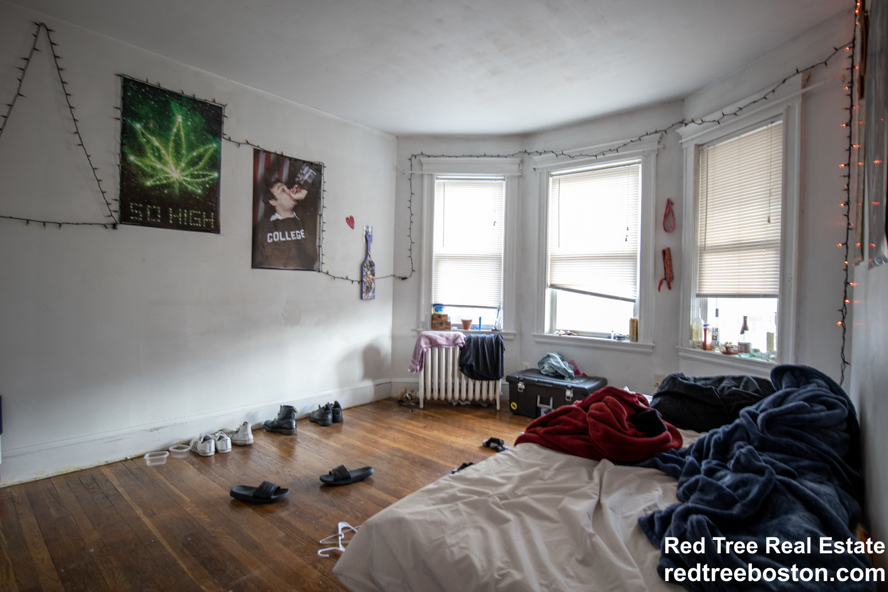 11 Ransom Rd, Brighton