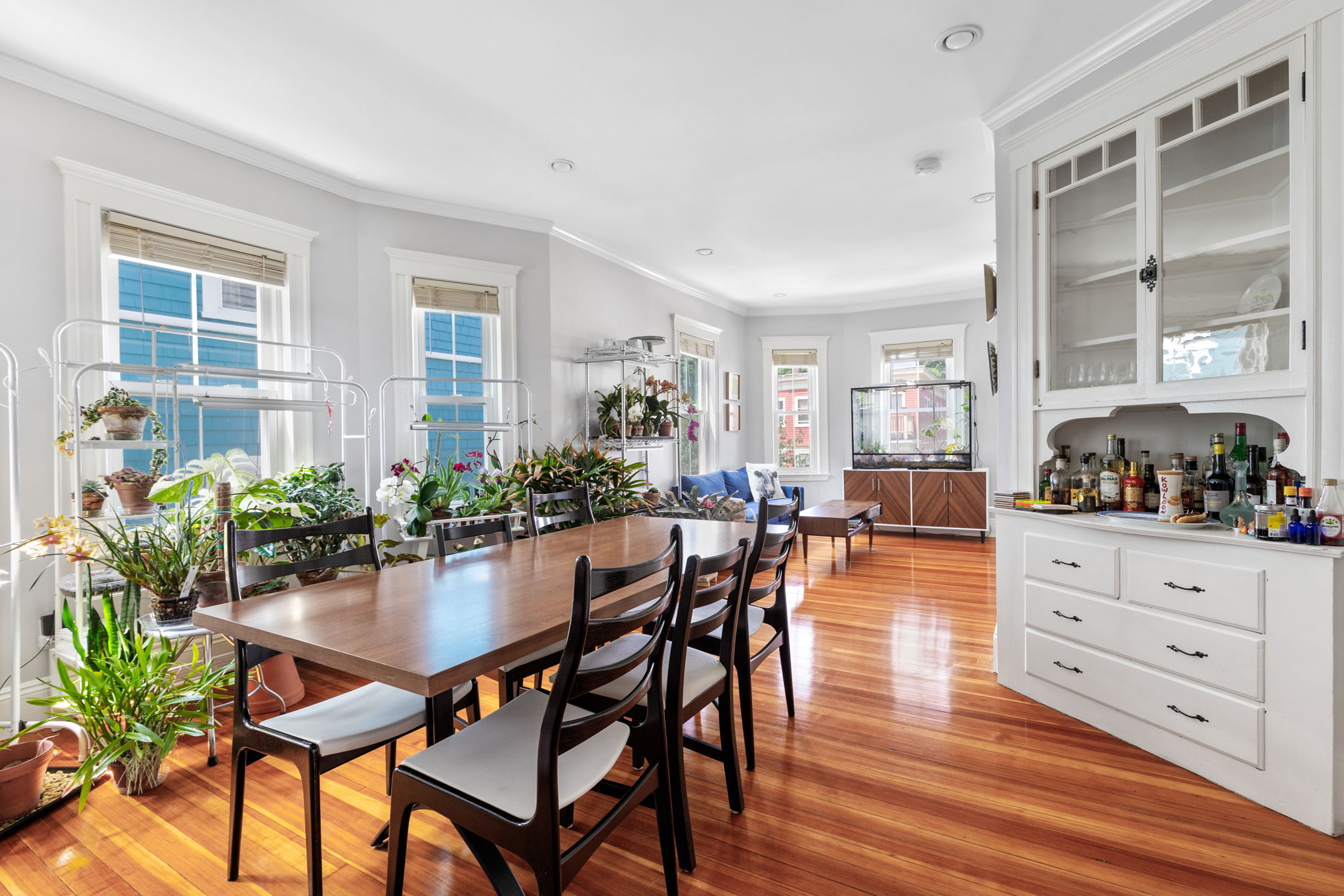 77 Montebello Rd, Jamaica Plain