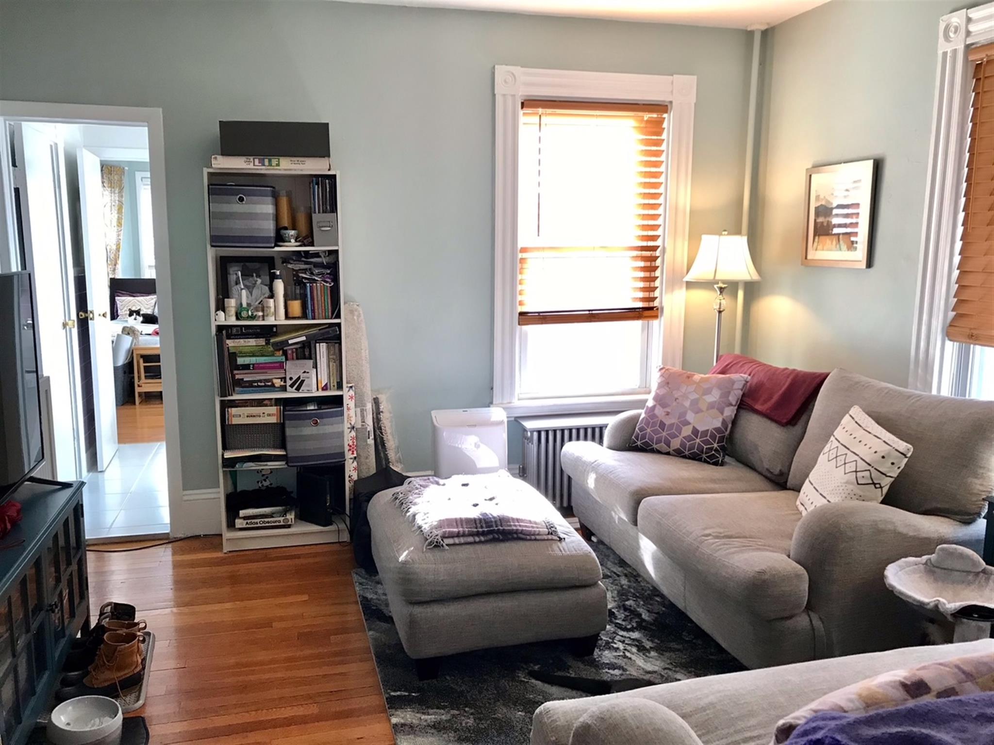 145 Orchard St, Davis Square