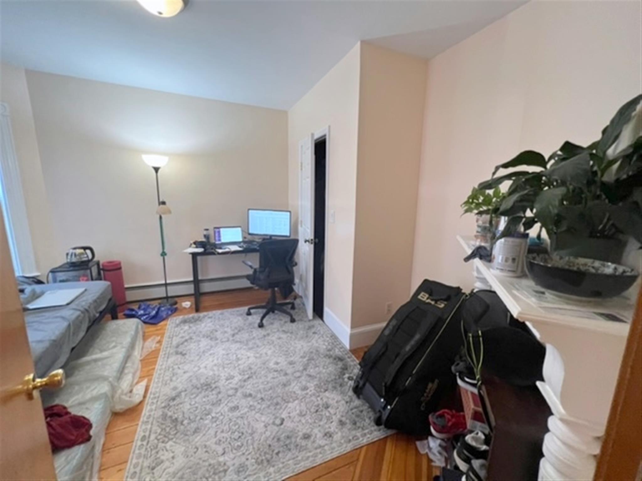 17 Cutter Ave, Davis Square