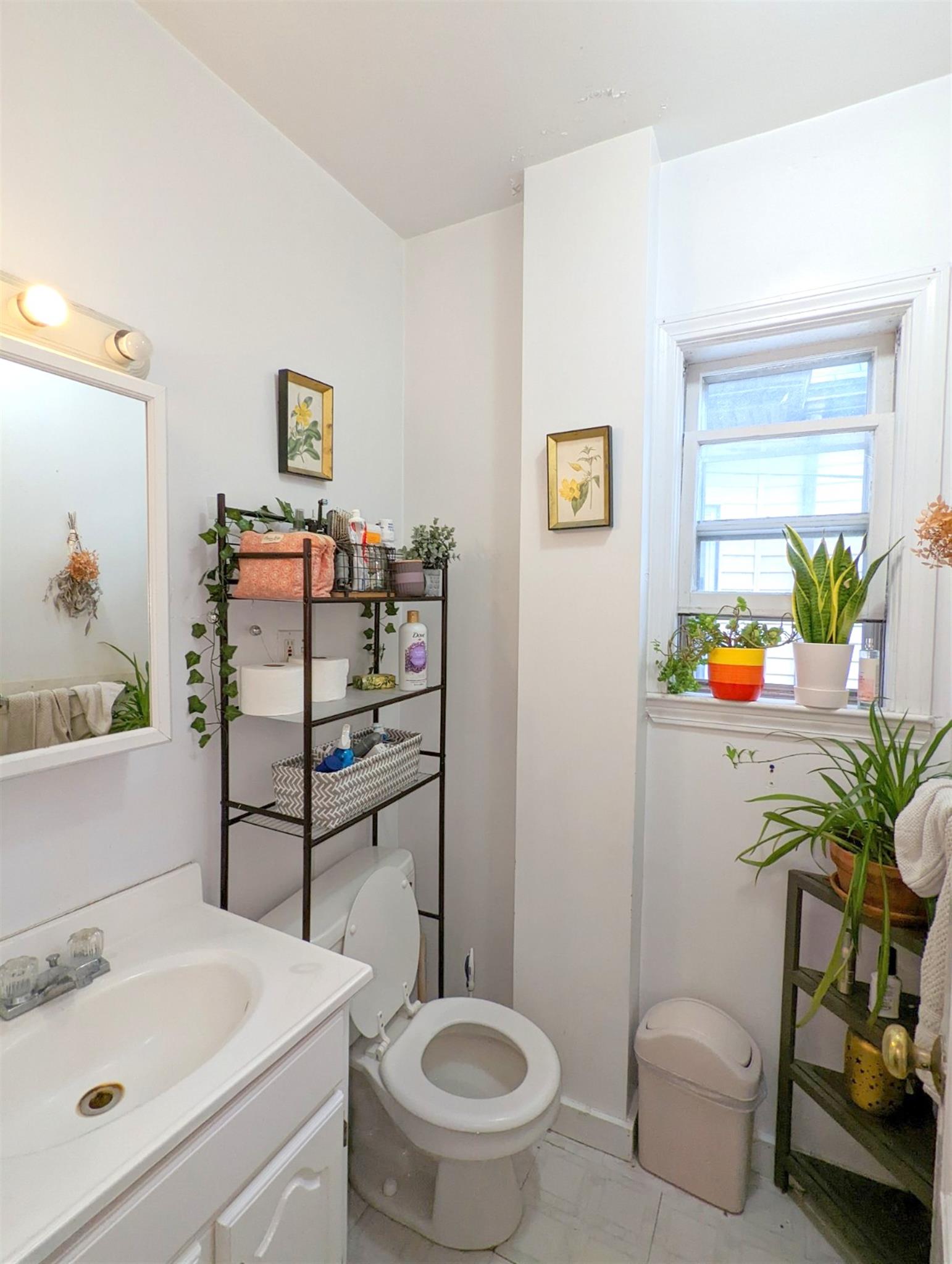 83 Yorktown St, Davis Square