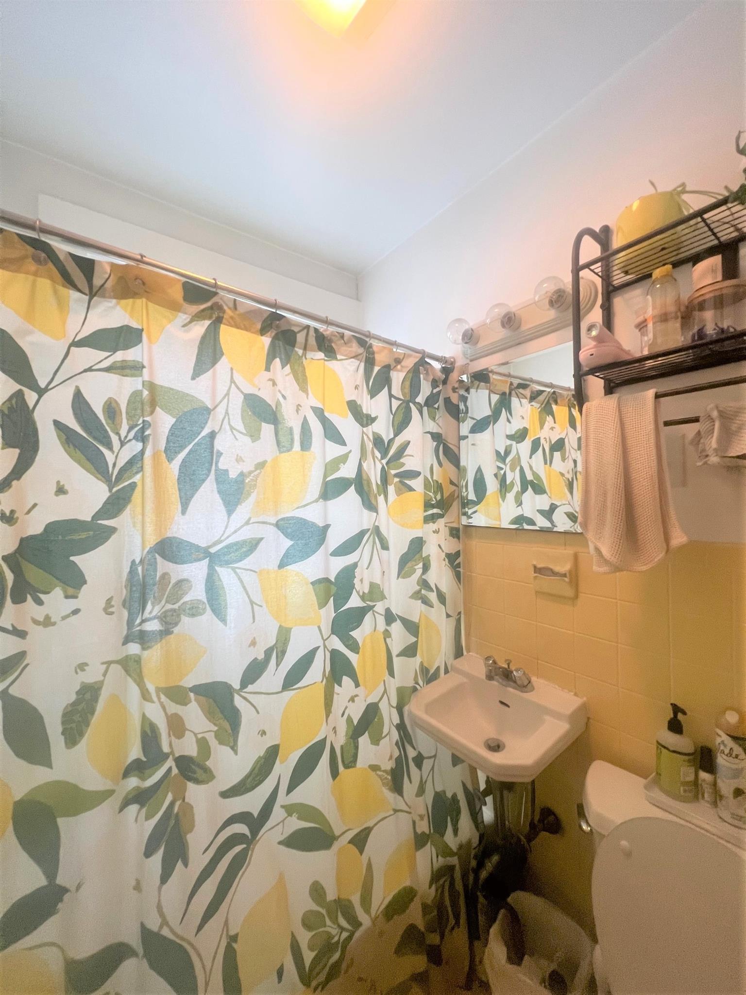 41 Ivaloo St, Porter Square