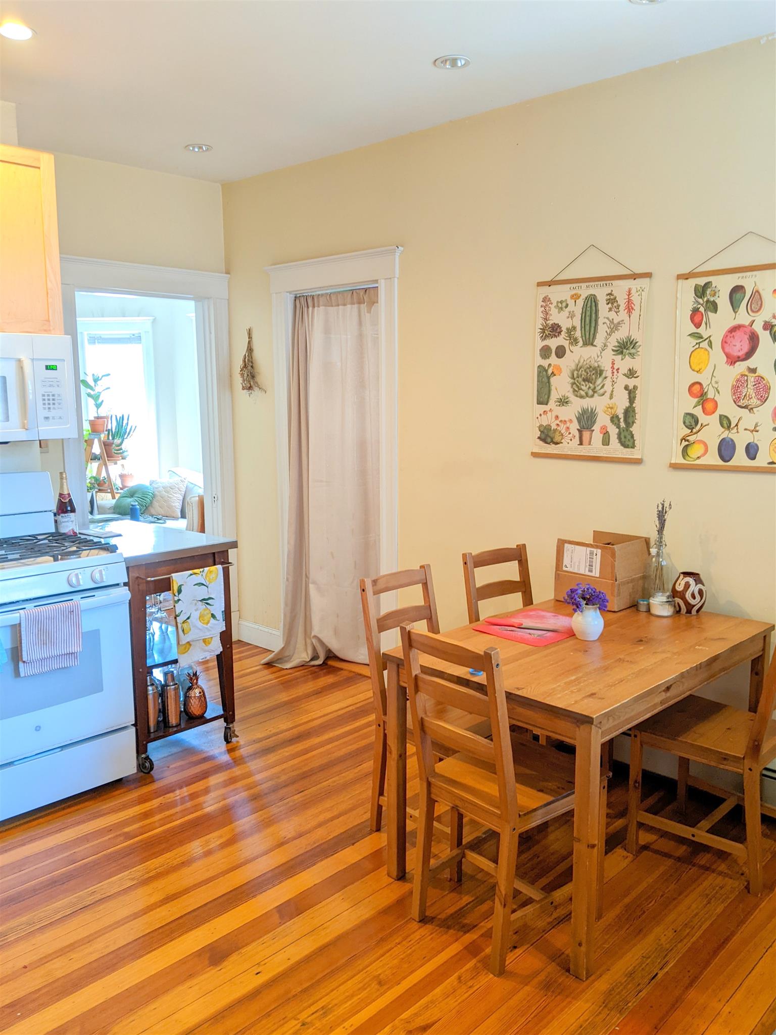 41 Bay State Ave, Davis Square