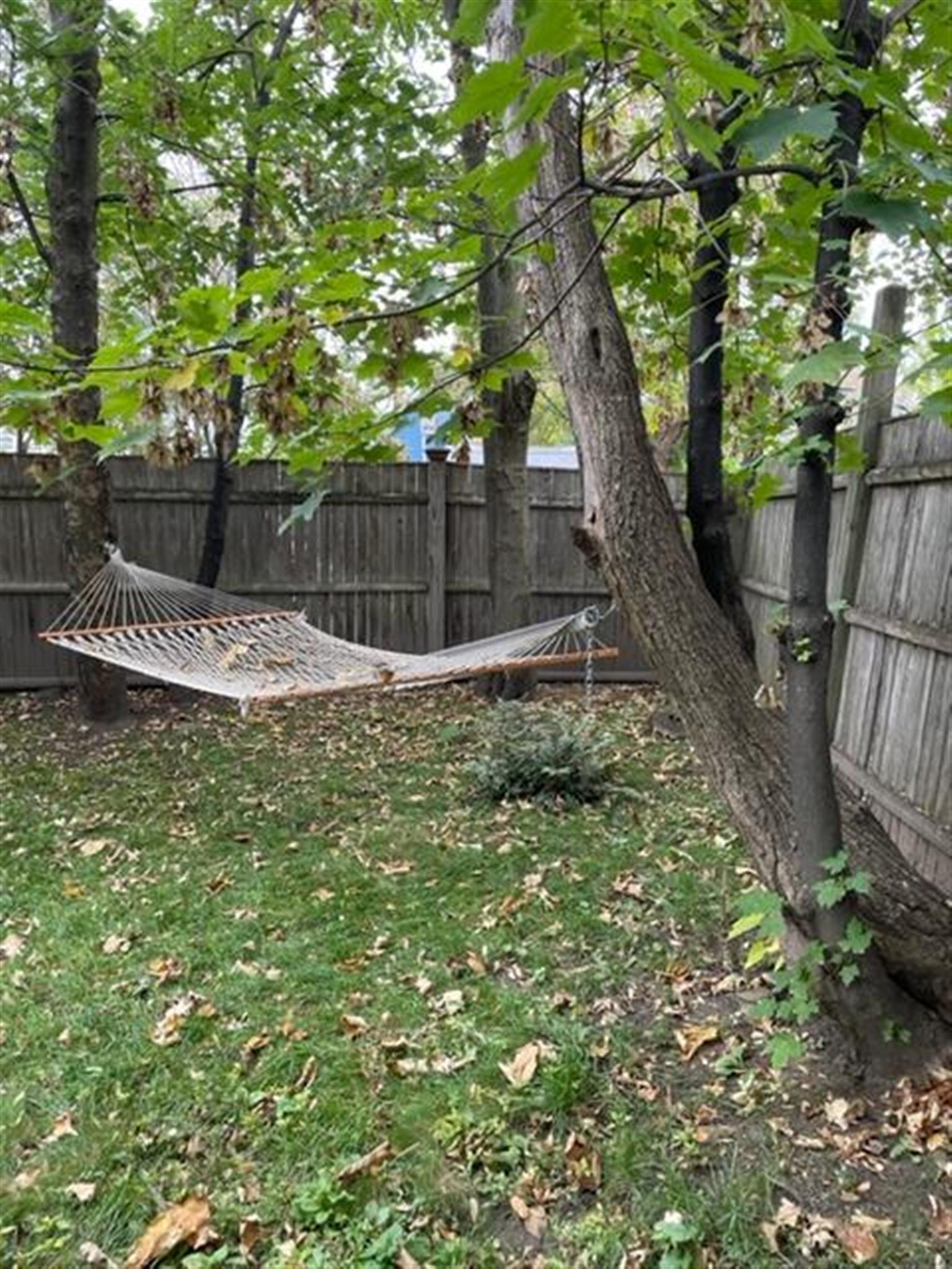 16 Cedar St, Porter Square