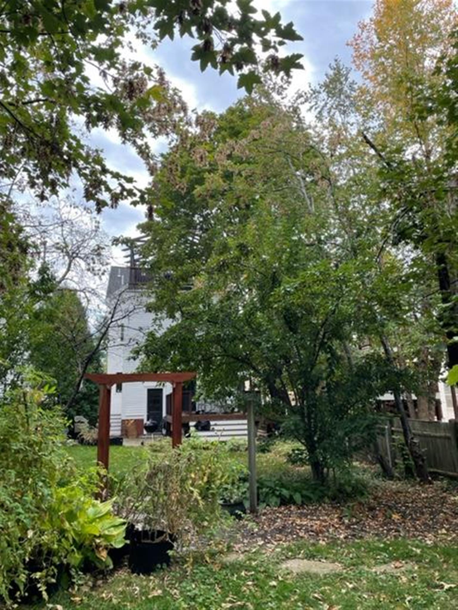 16 Cedar St, Porter Square