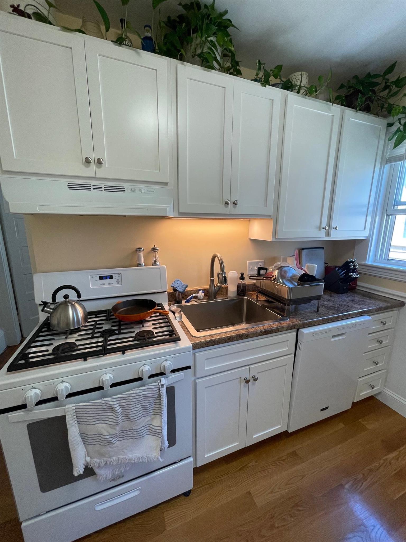 11 Belmont St, Prospect Hill