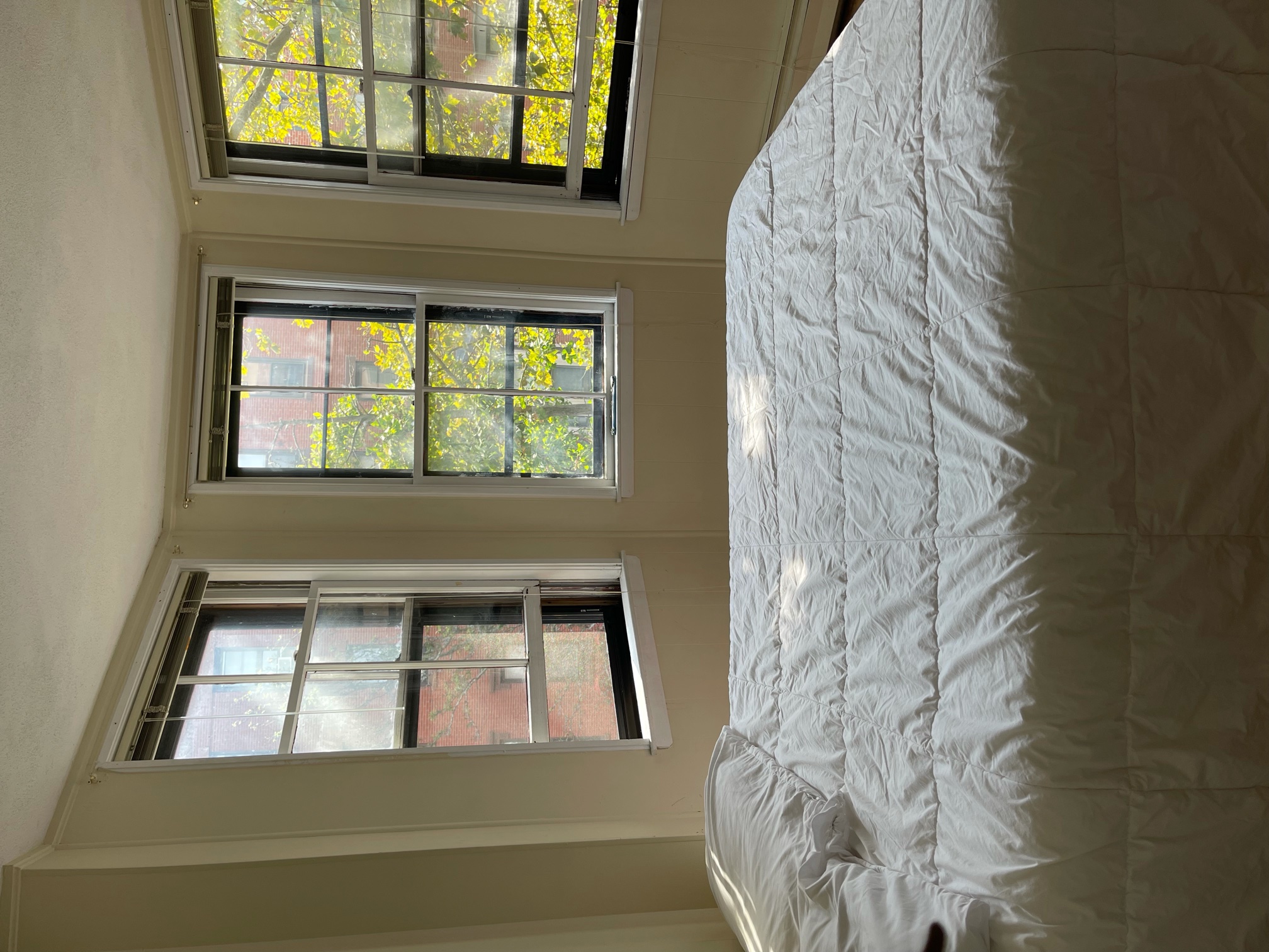 305 Shawmut Ave, South End