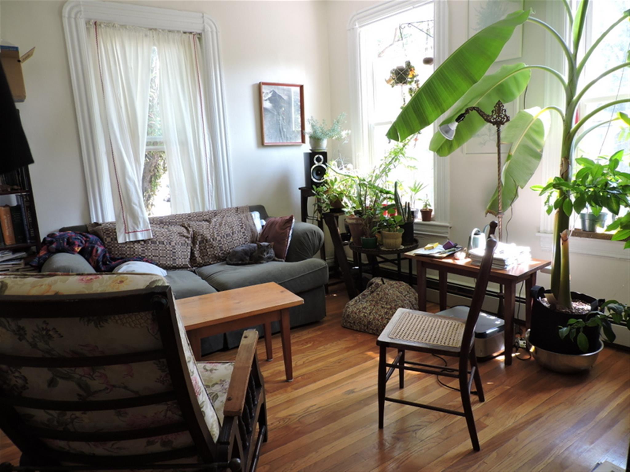 503 Franklin St, Central Square