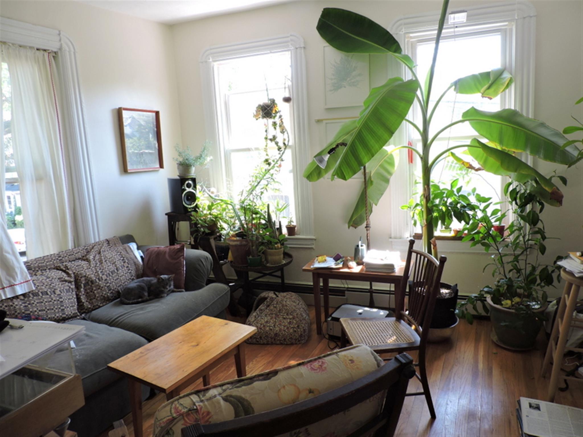 503 Franklin St, Central Square