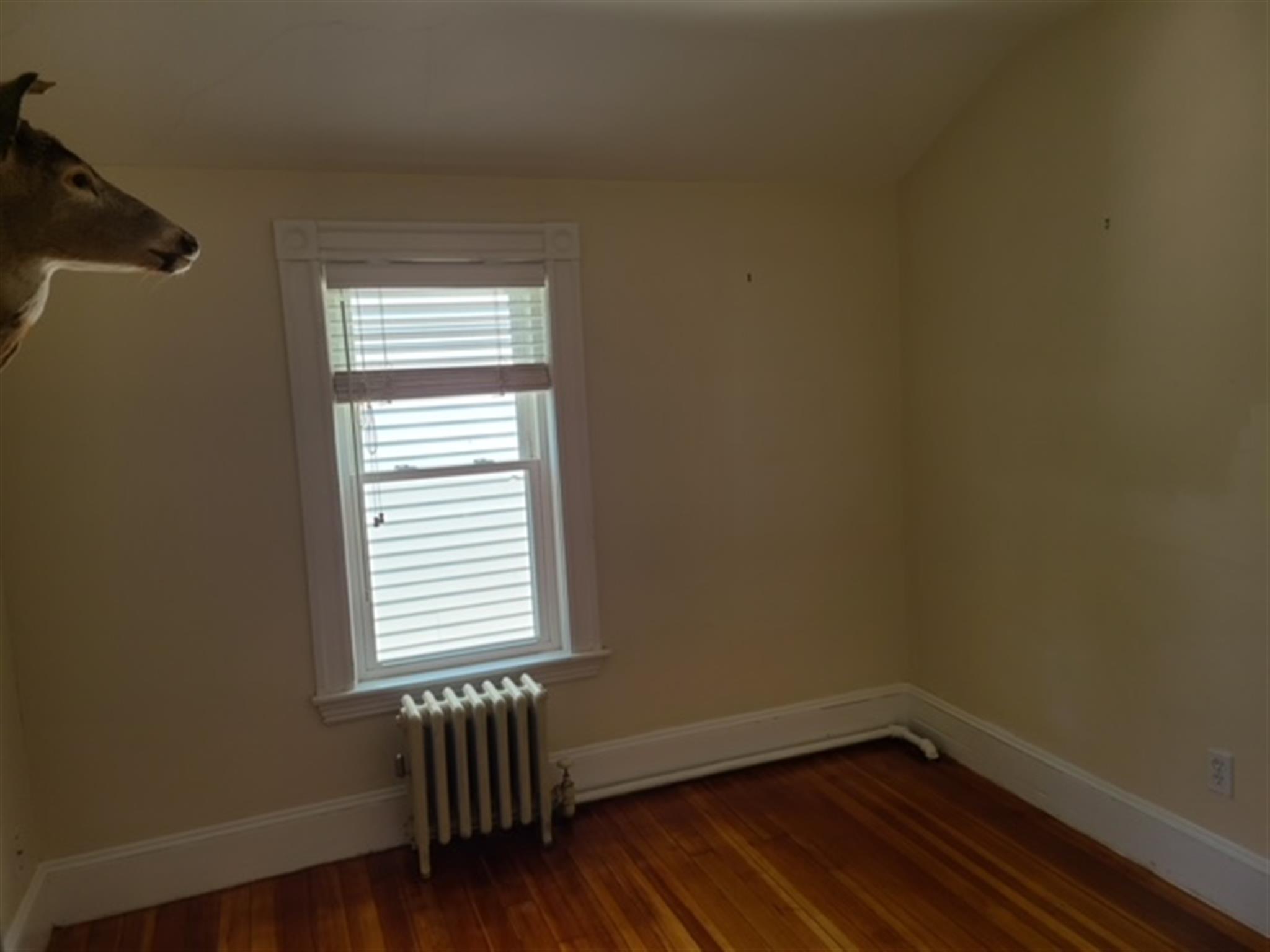 80 Bay State Ave, Davis Square