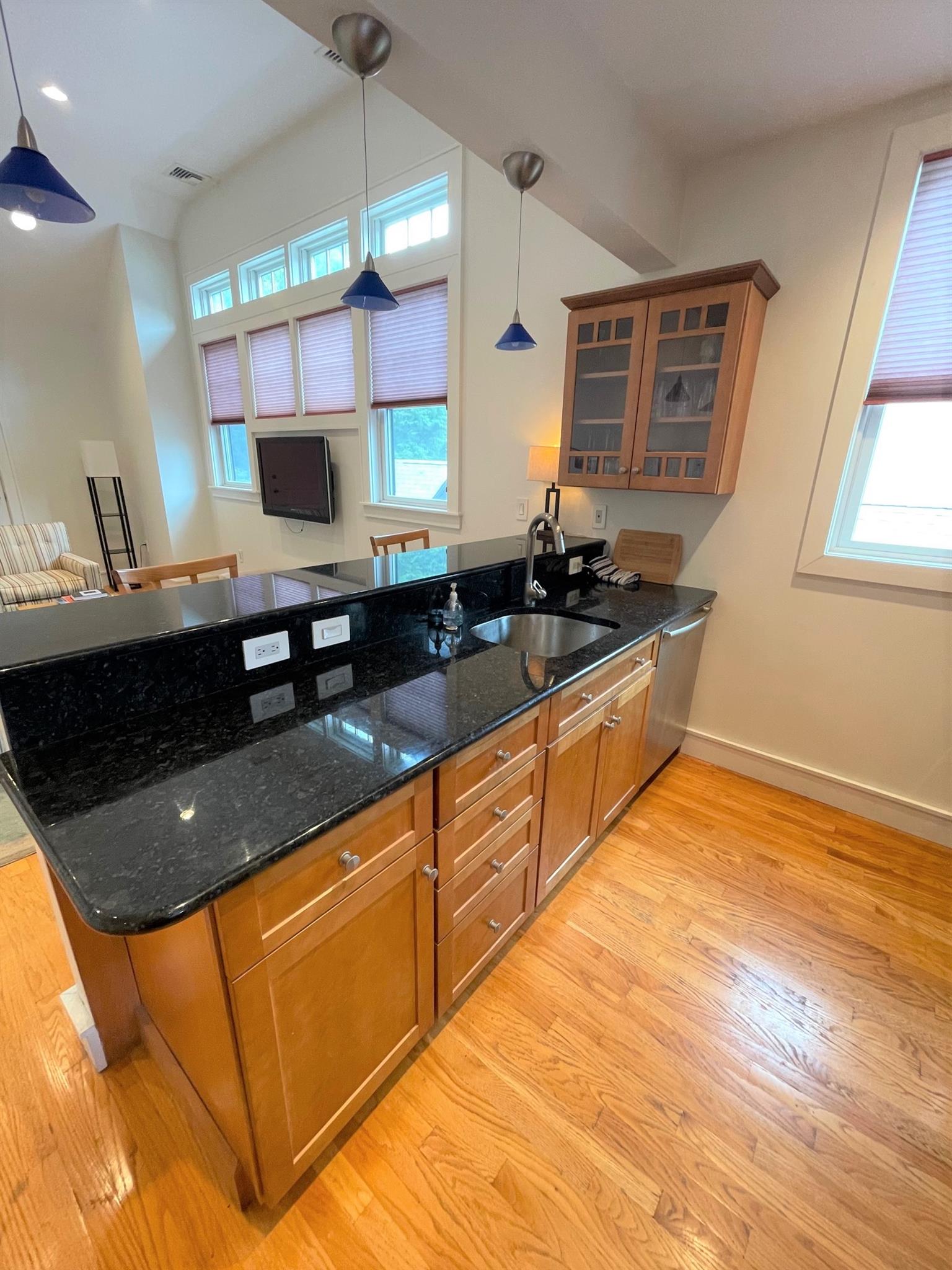 20 Cottage Ave, Davis Square