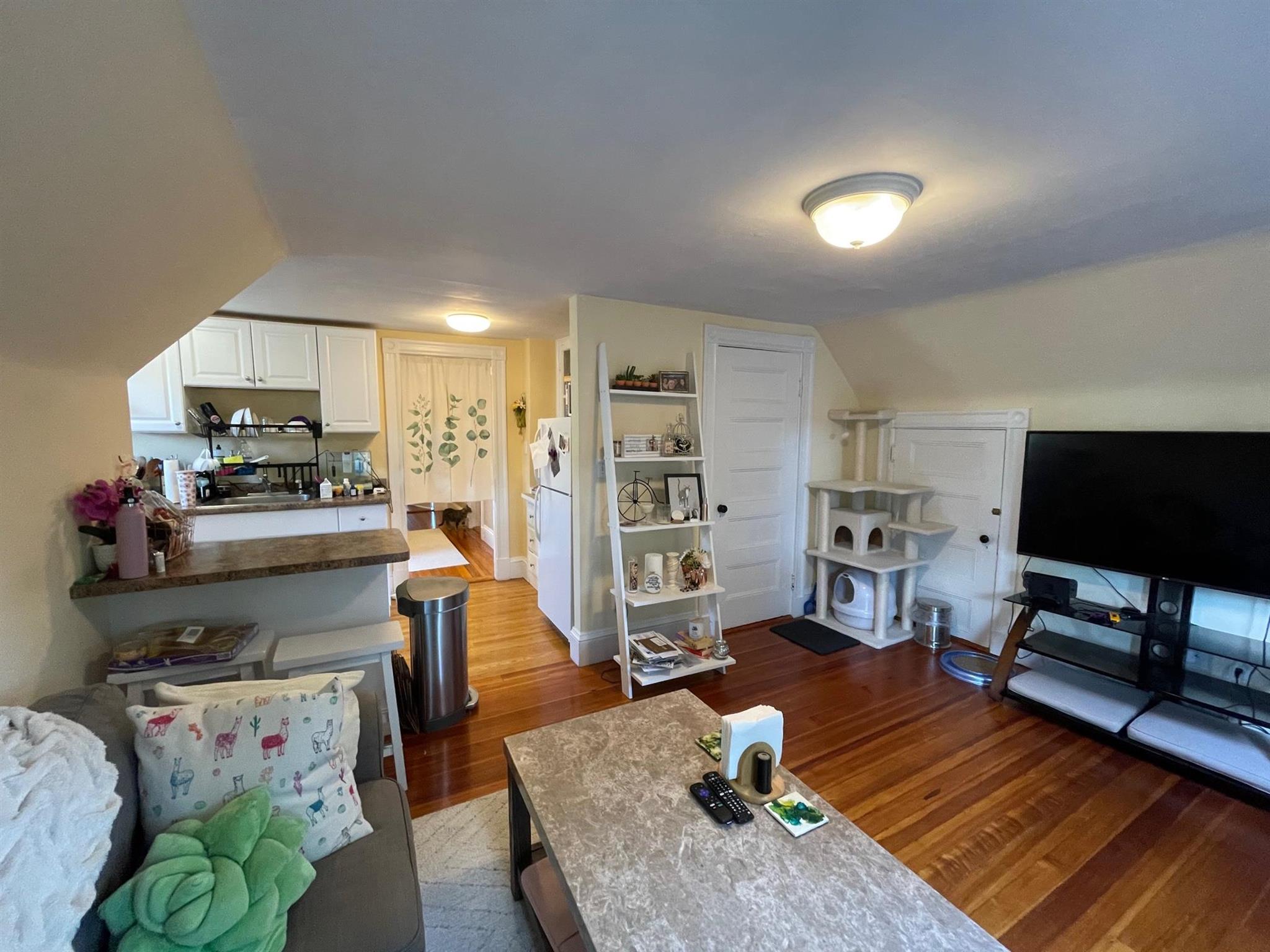 32 Pearson Rd, Davis Square