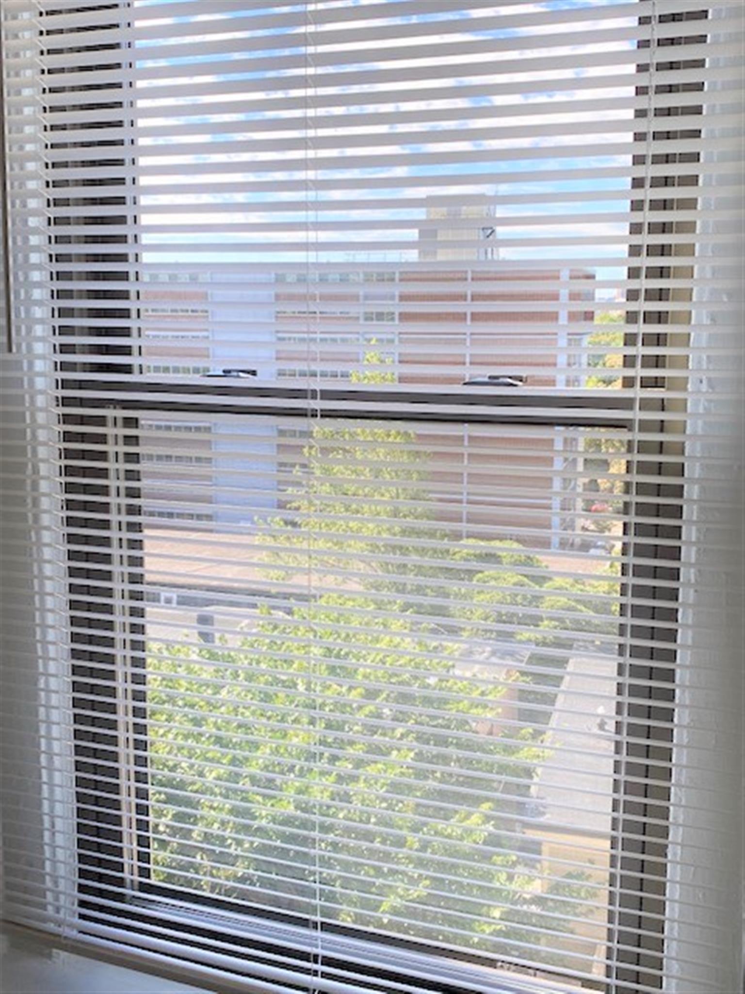 888 Massachusetts Ave, Central Square