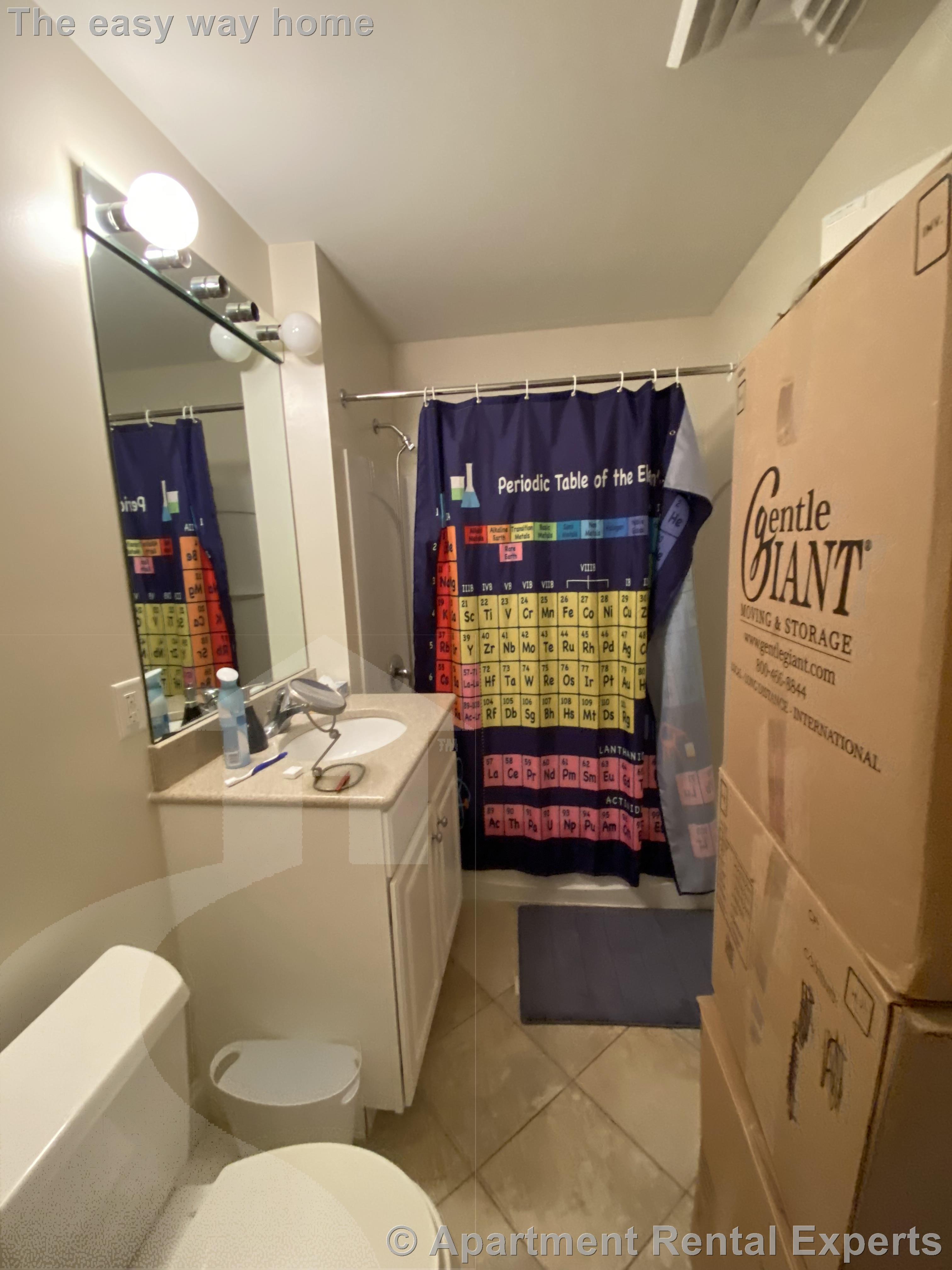 318 Rindge, North Cambridge