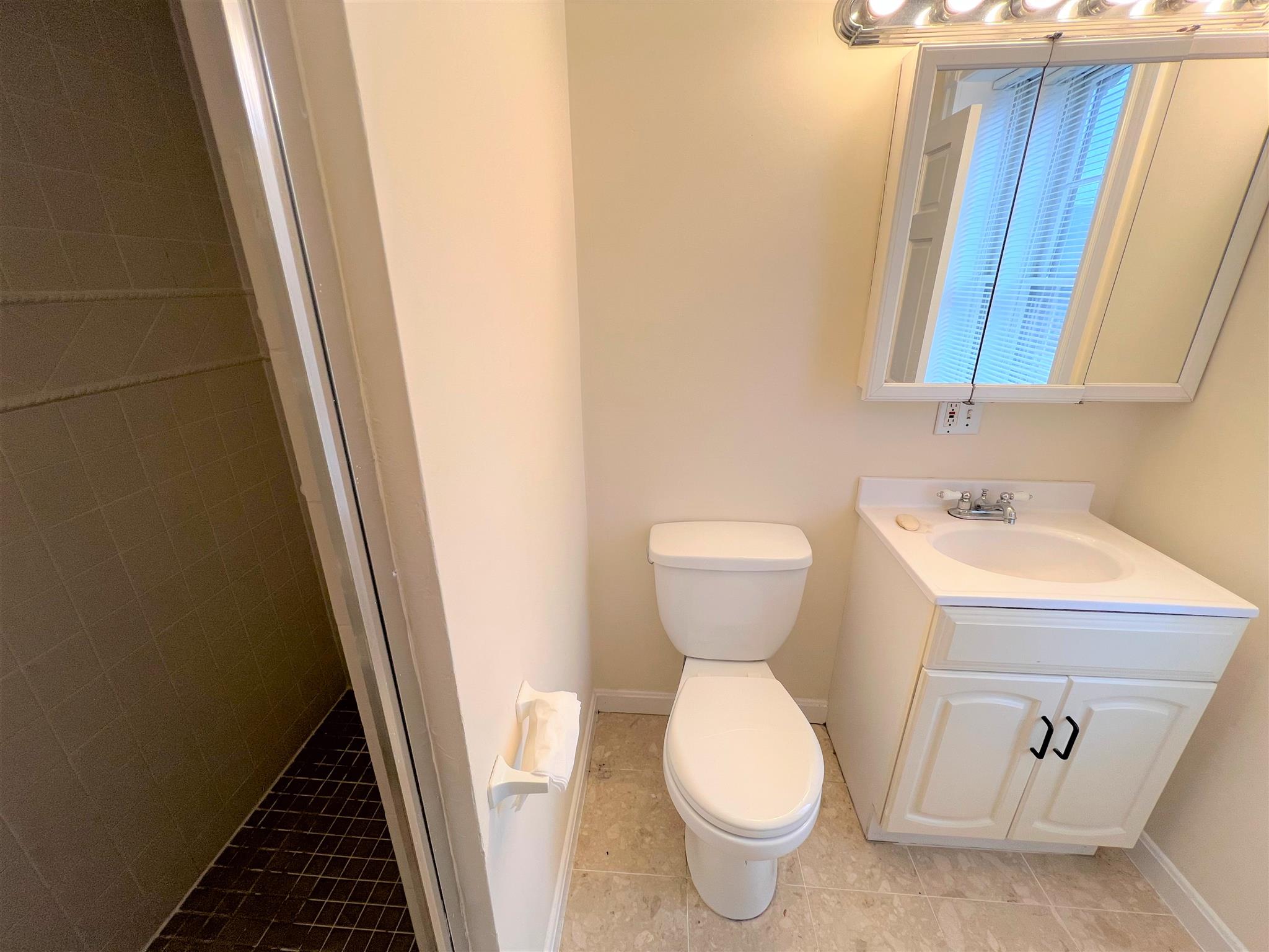 8 Bishop Richard Allen Dr, Central Square