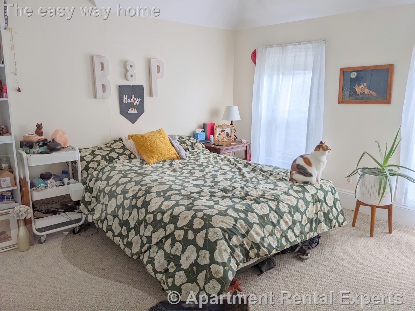 191 Summer, Porter Square