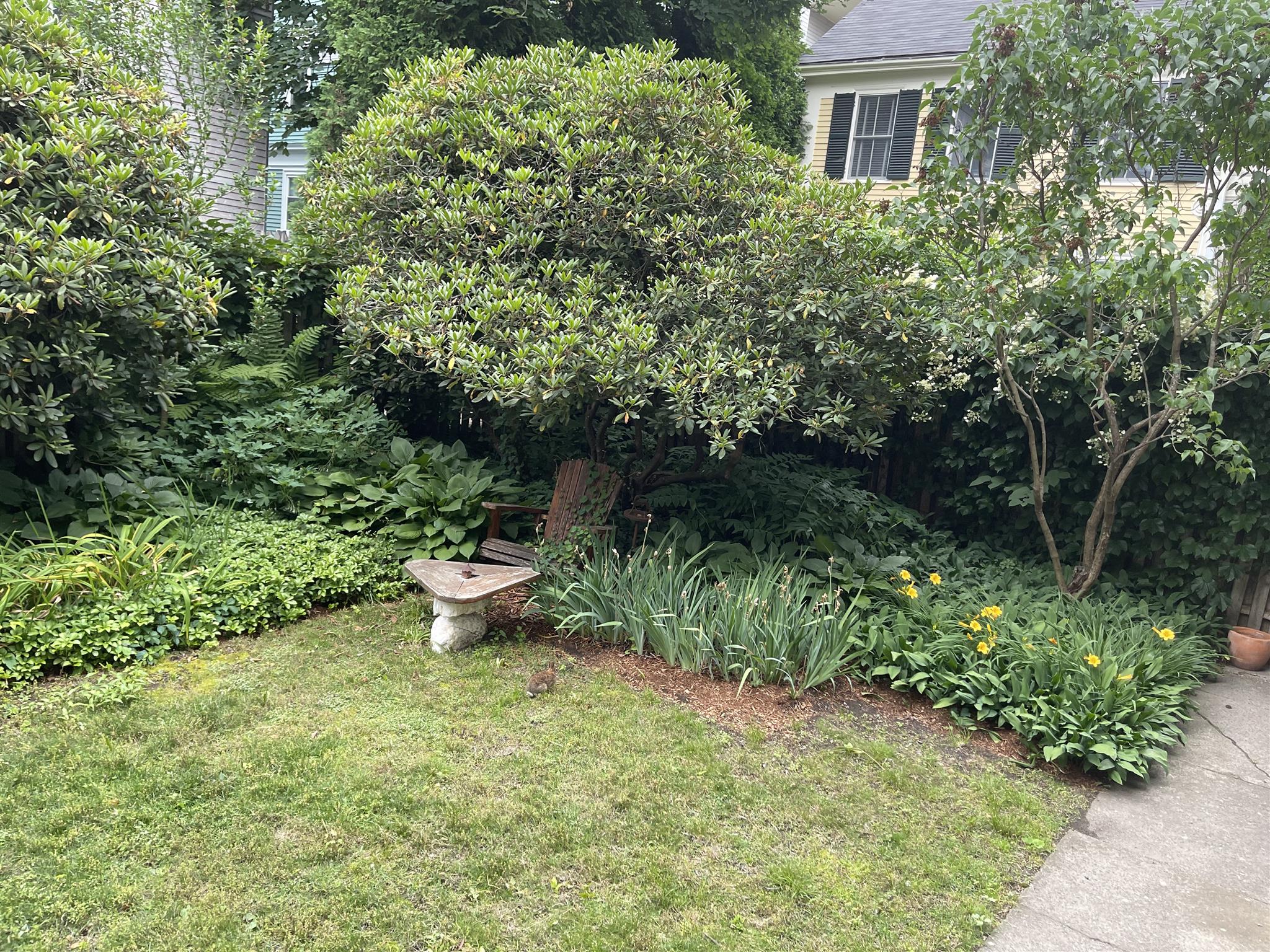 119 Antrim St, Mid Cambridge